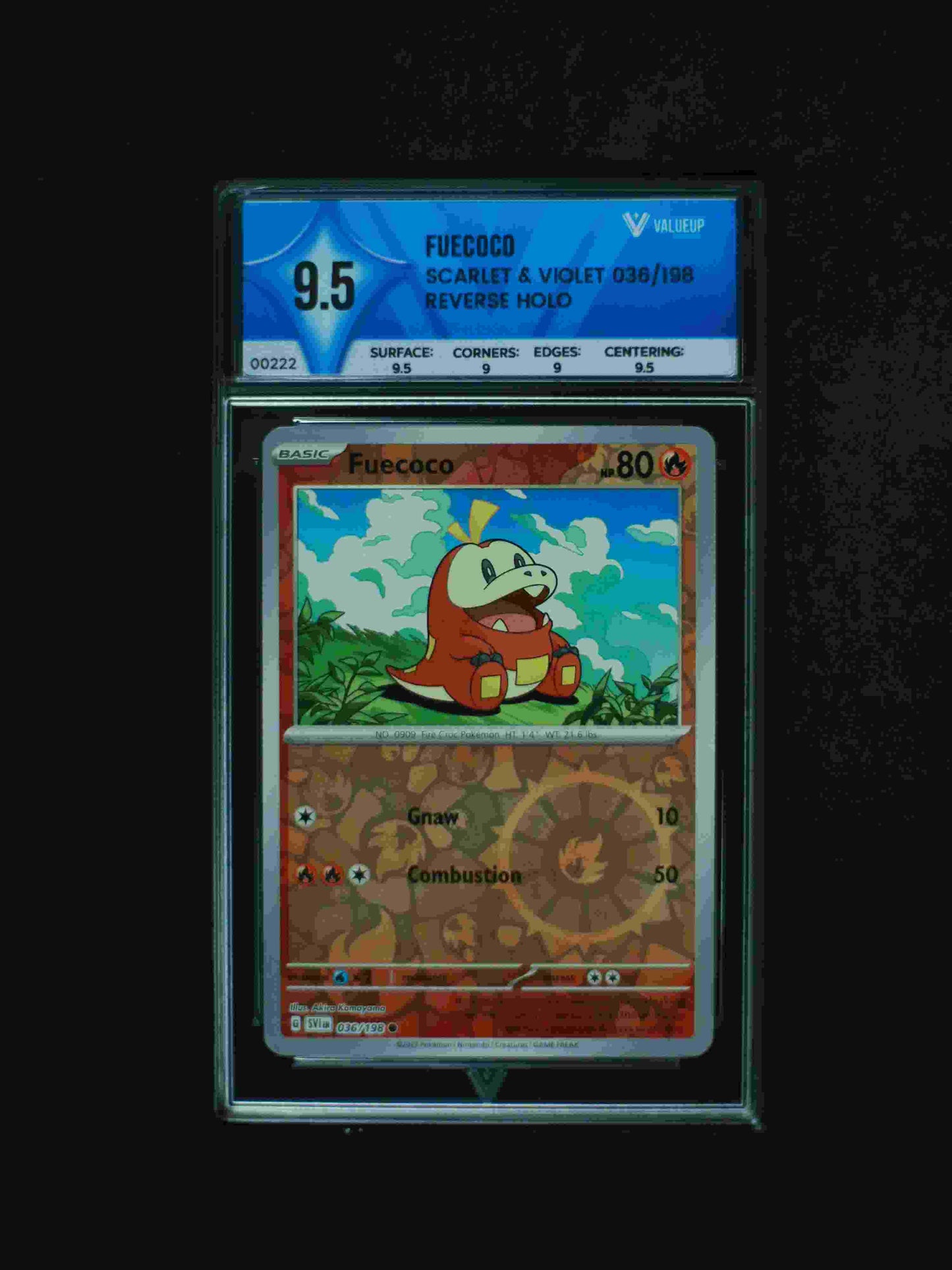 00222 FUECOCO Grading Card