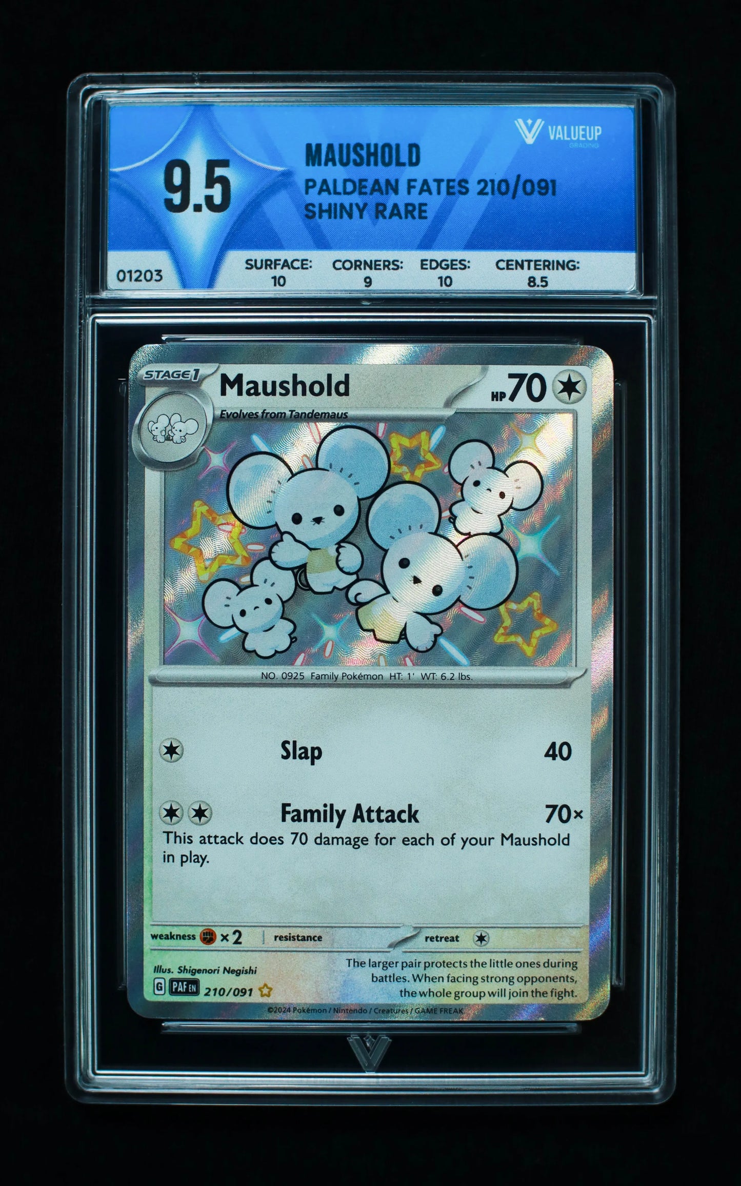 01203 MAUSHOLD