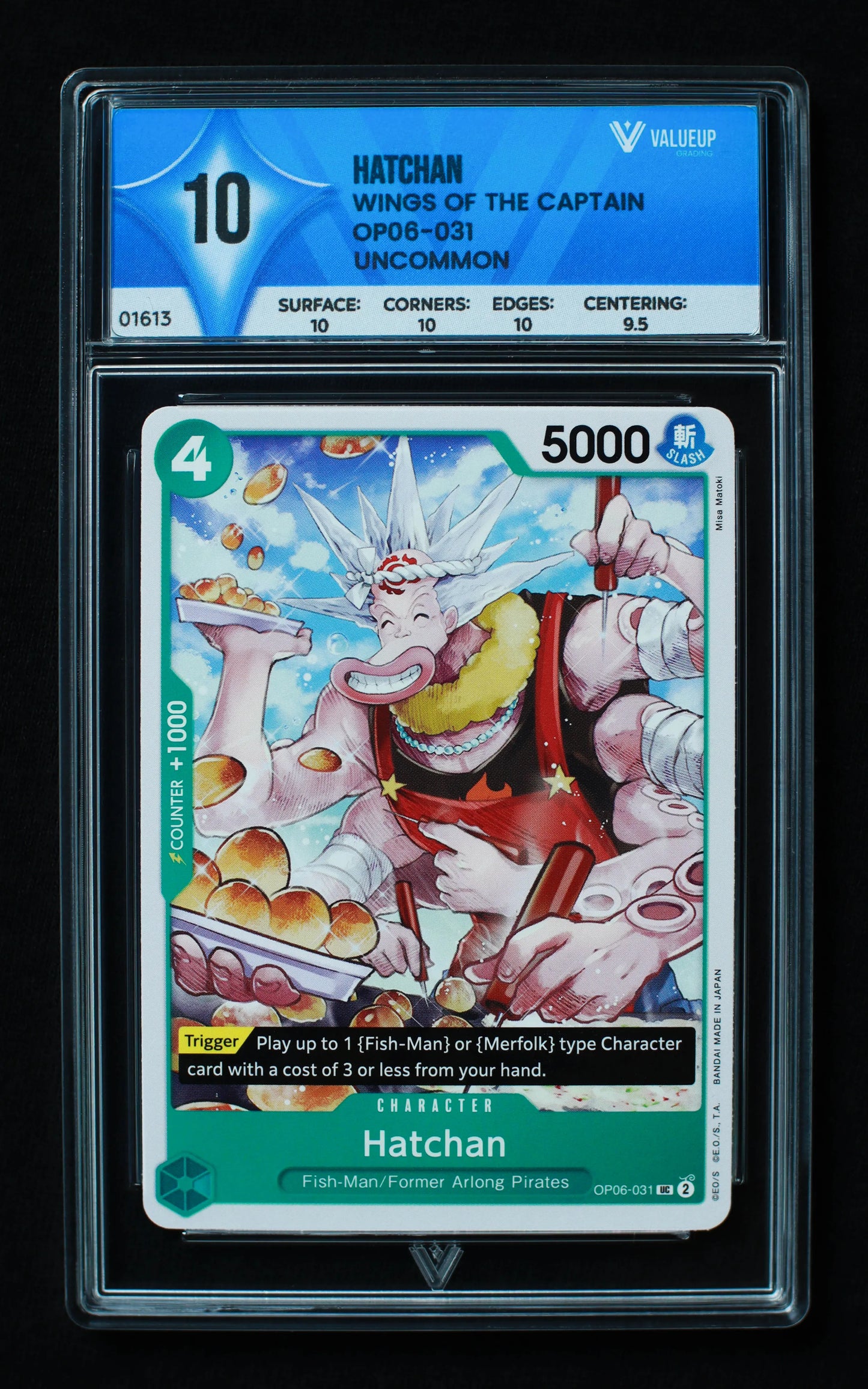 01613 HATCHAN Grading Card