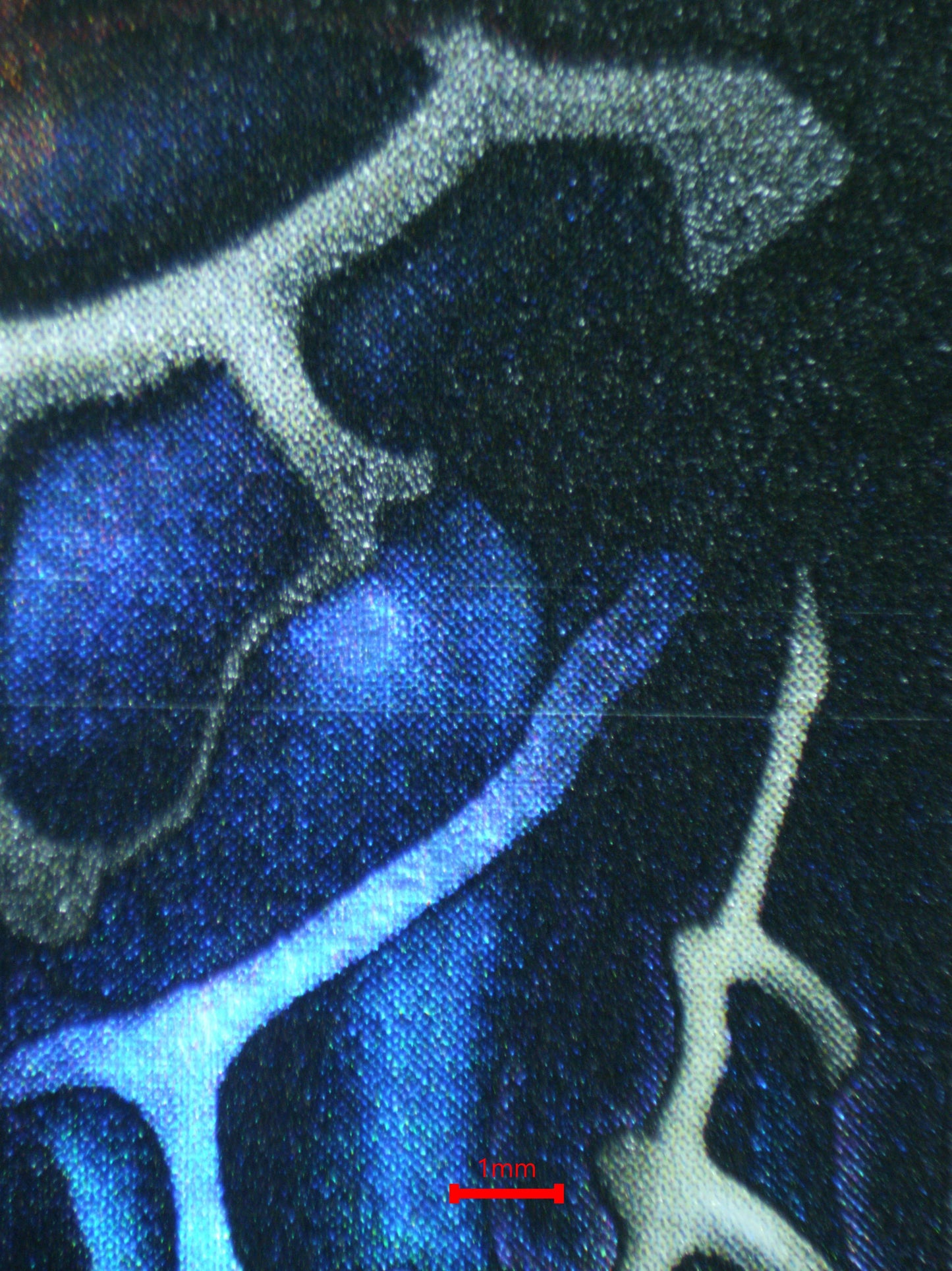 03679 RELINQUISHED - ValueUp