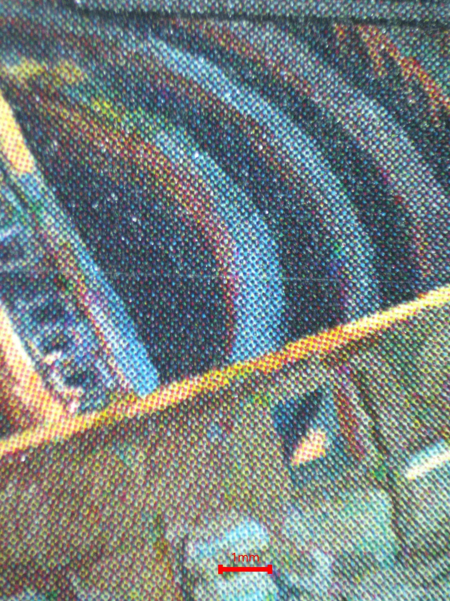 03876 NURTURING PEATLAND - ValueUp