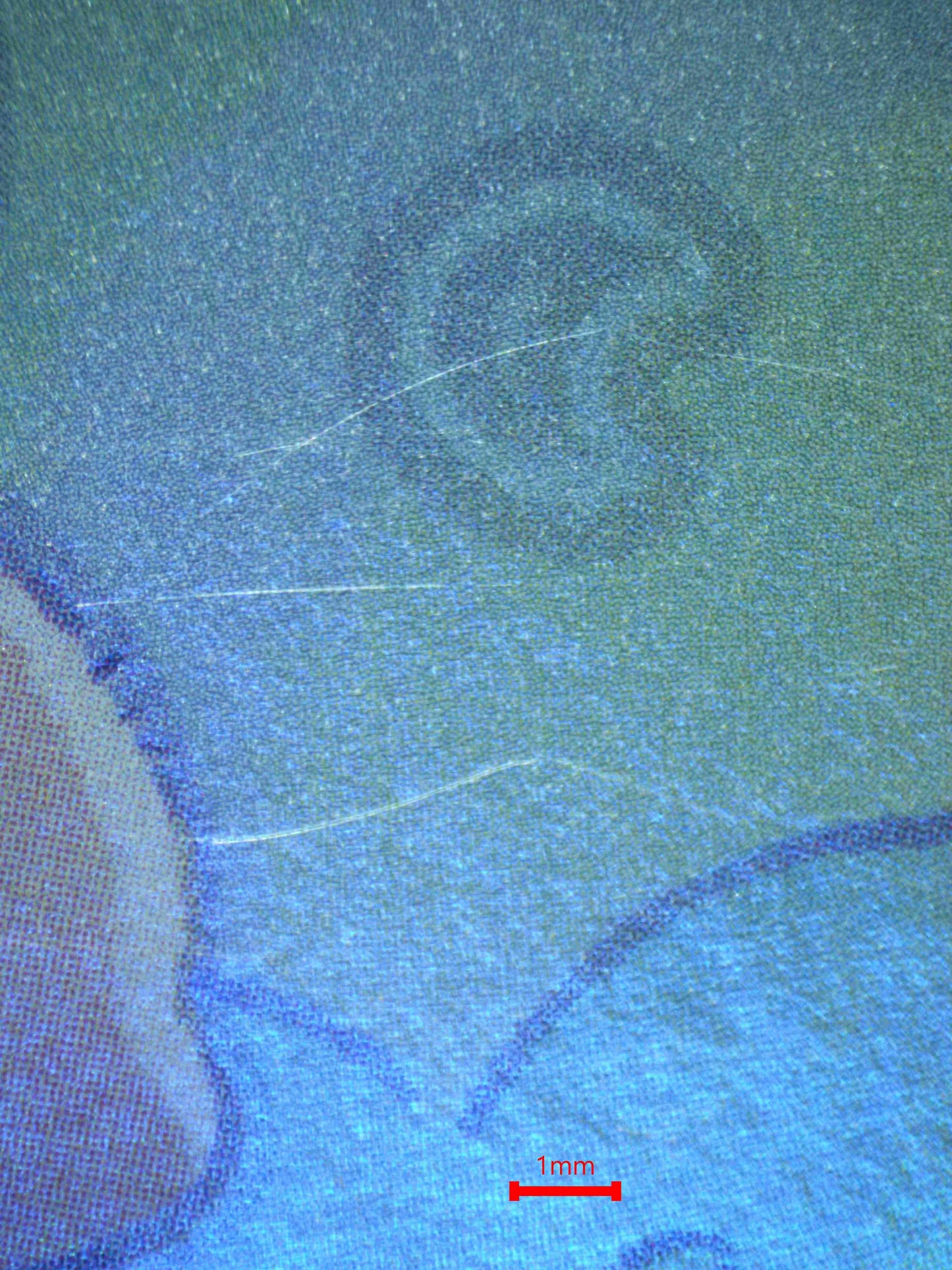 03890 MELFFY WALLY - ValueUp