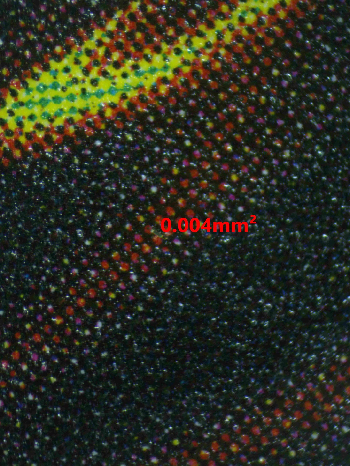 03892 MELFFY HIDE - AND - SEEK - ValueUp