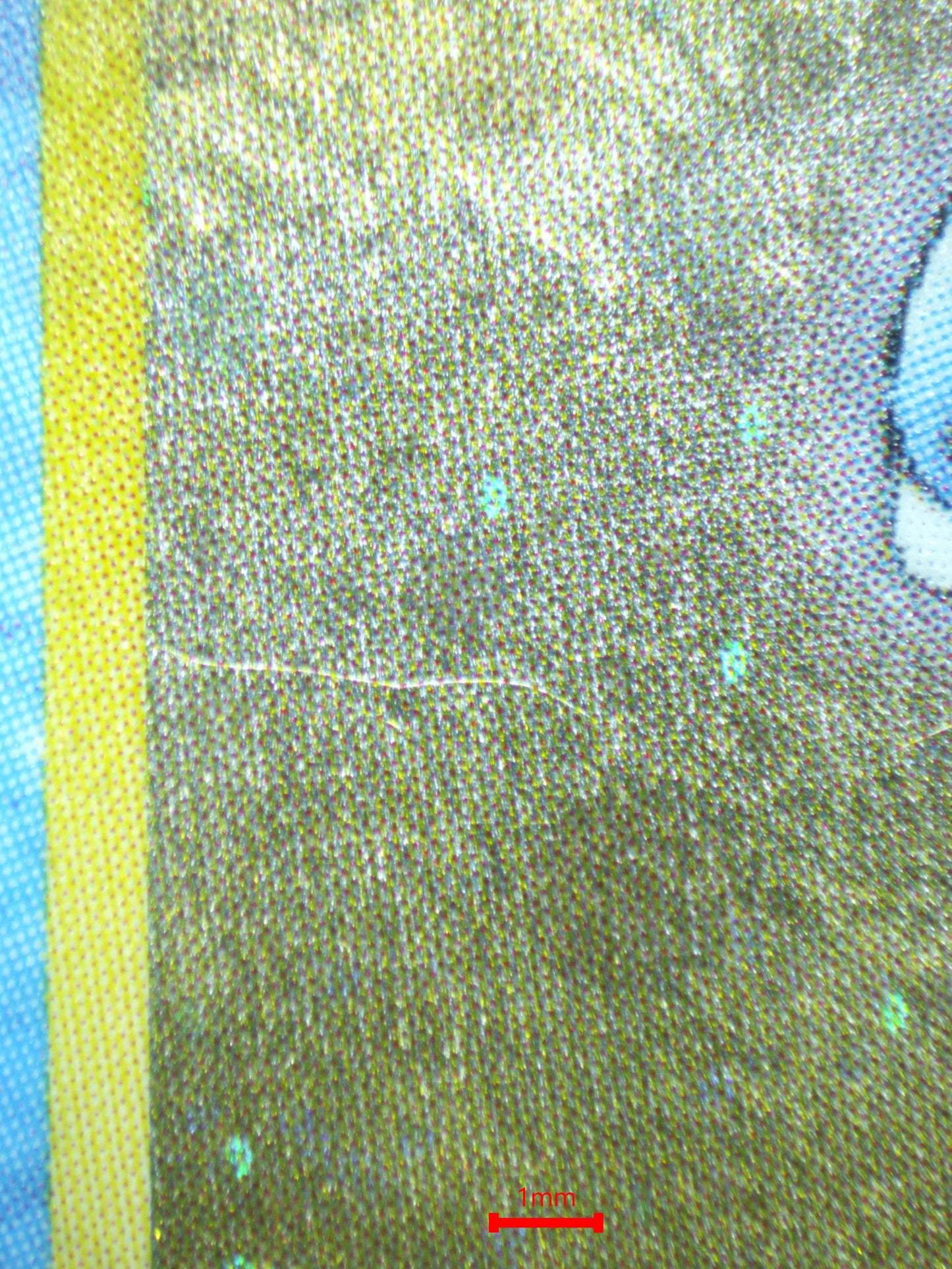 03905 BLASTOISE (JAPANESE) - ValueUp