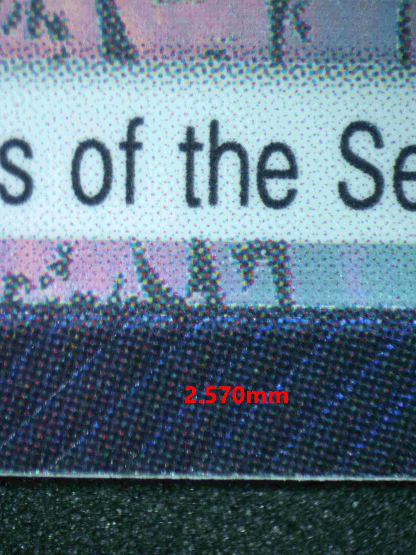 04691 GECKO MORIA - ValueUp