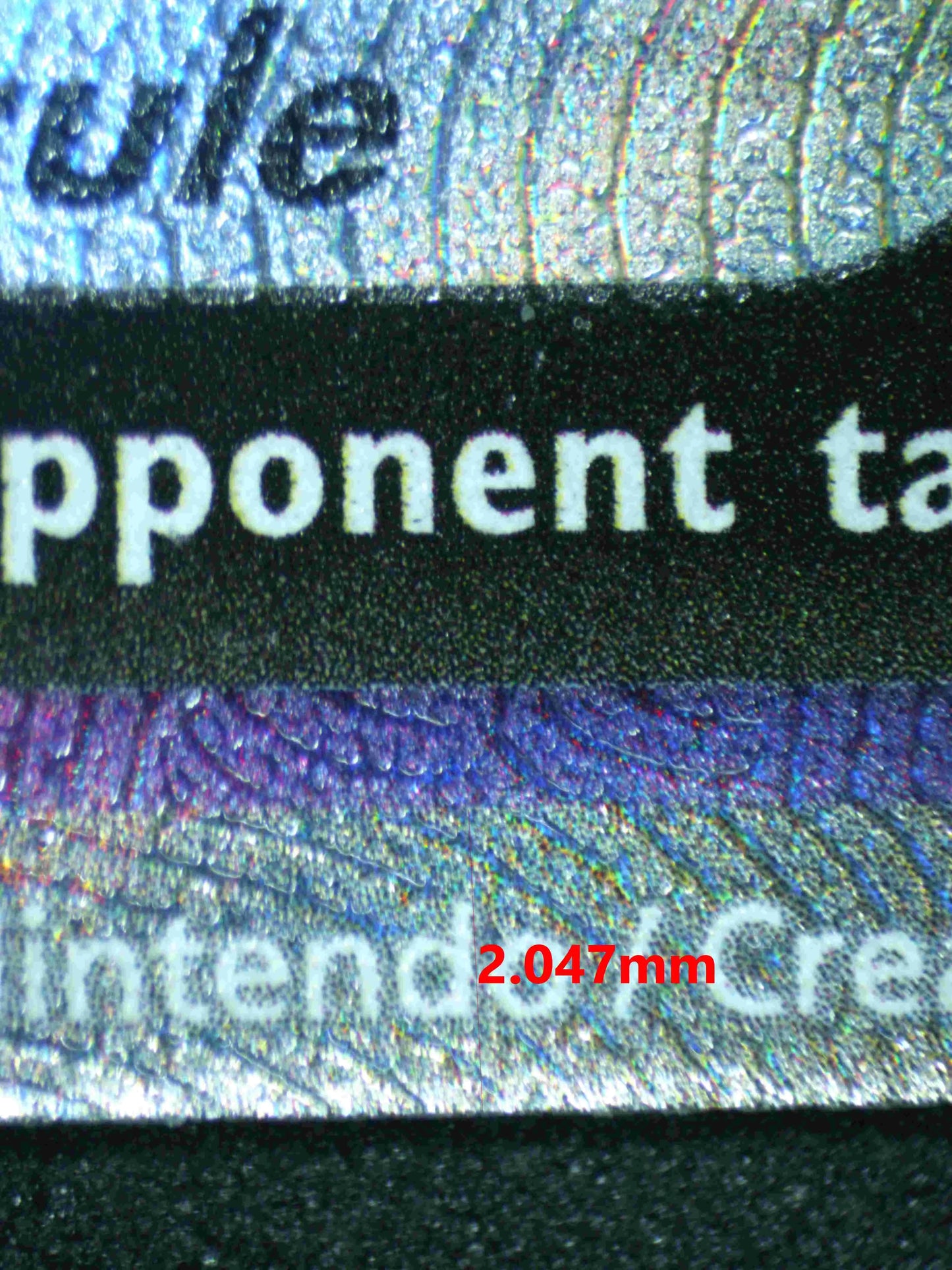 04850 HISUIAN ZOROARK V - ValueUp