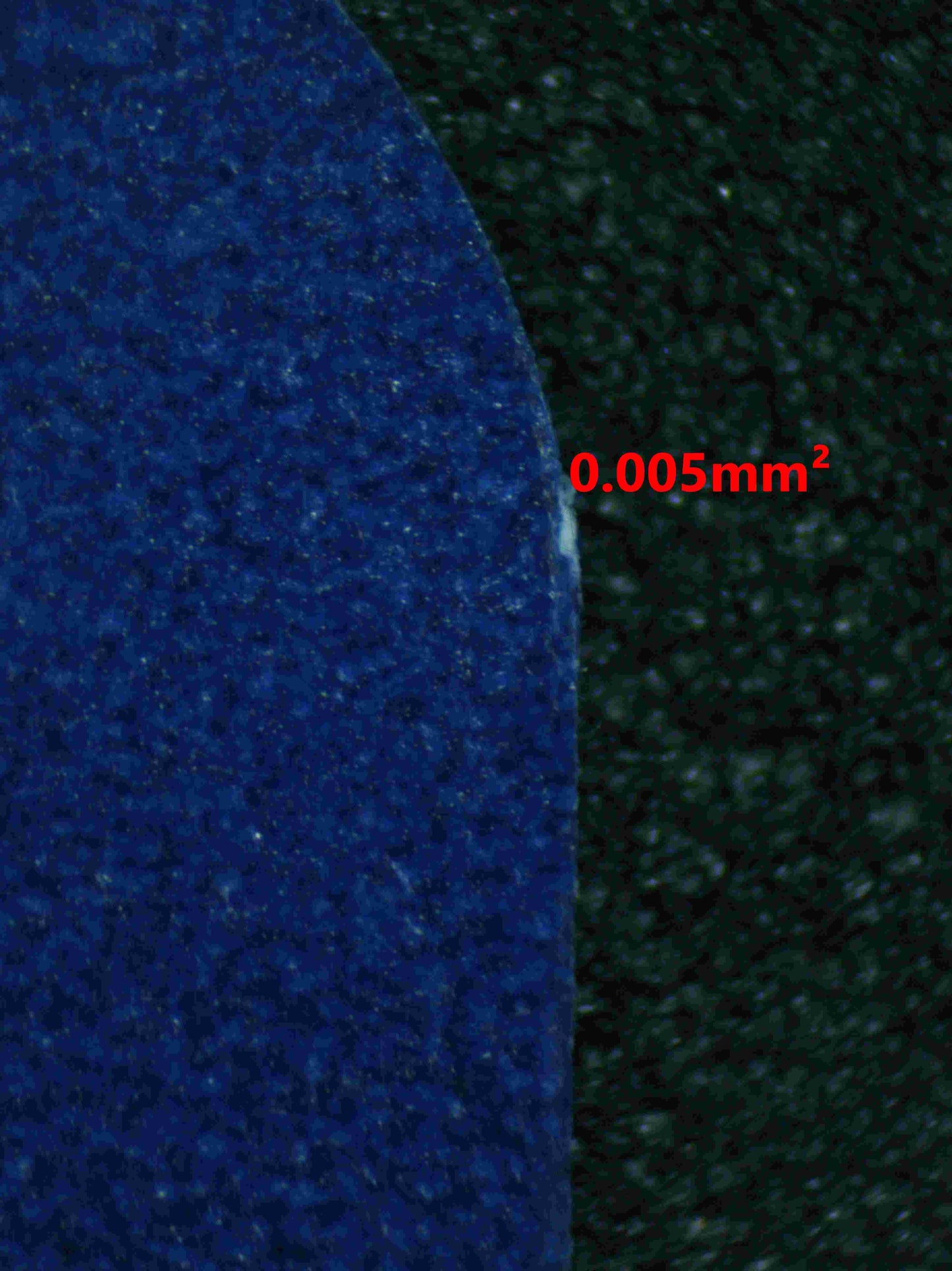 05247 FRIENDS IN PALDEA - ValueUp