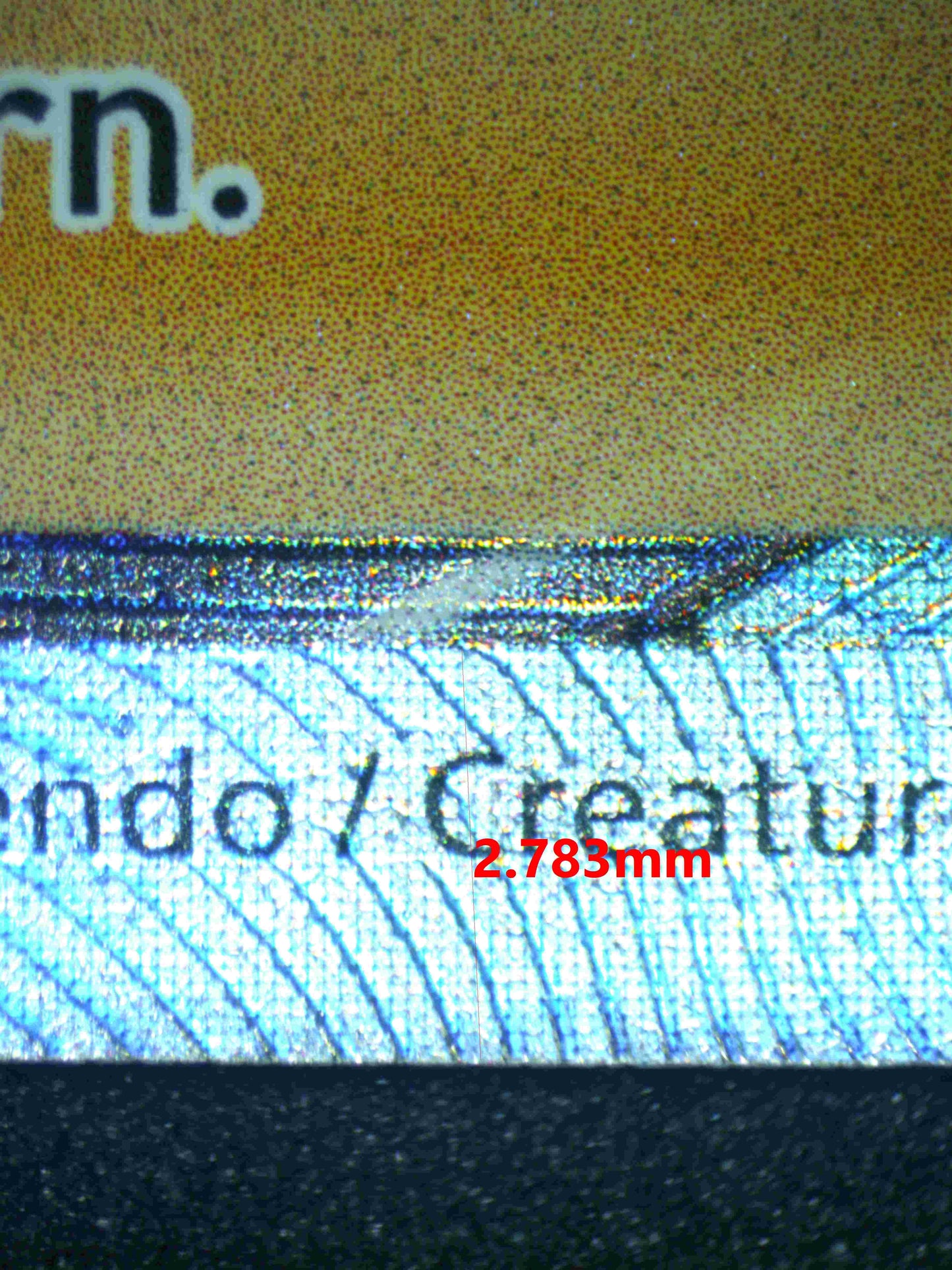 05302 ELESA'S SPARKLE - ValueUp