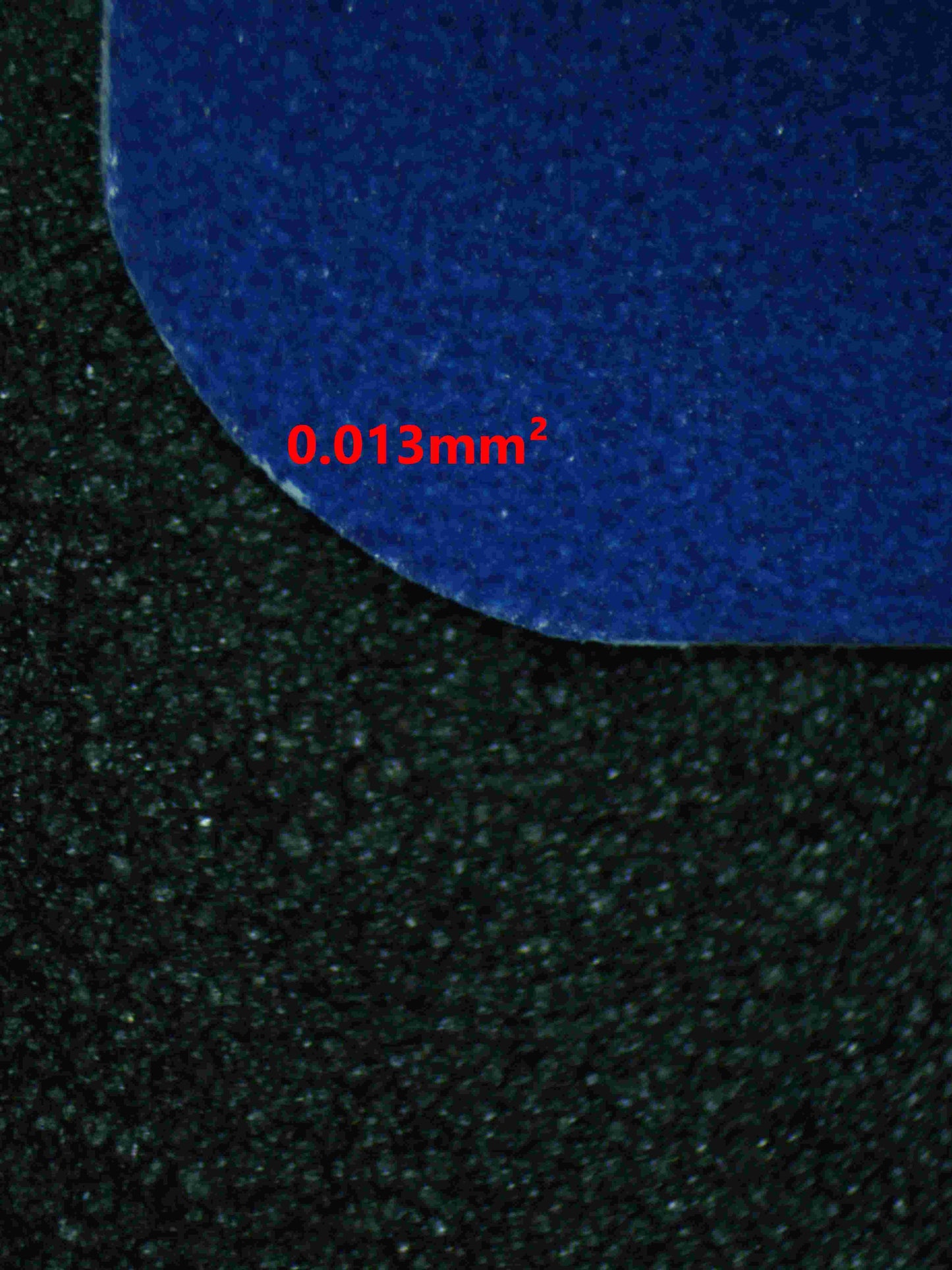 05461 KINGDRA EX - ValueUp