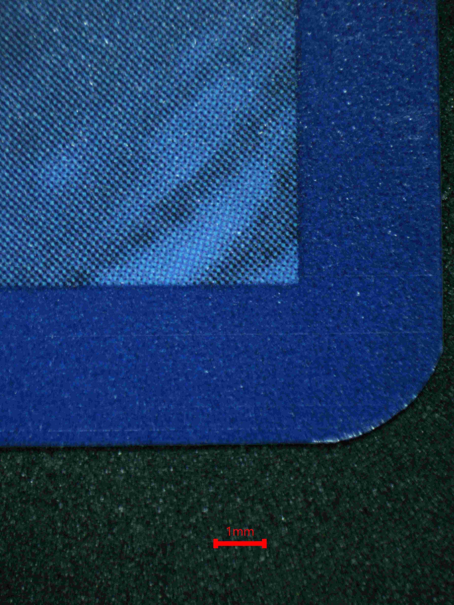 05557 BULBASAUR - ValueUp