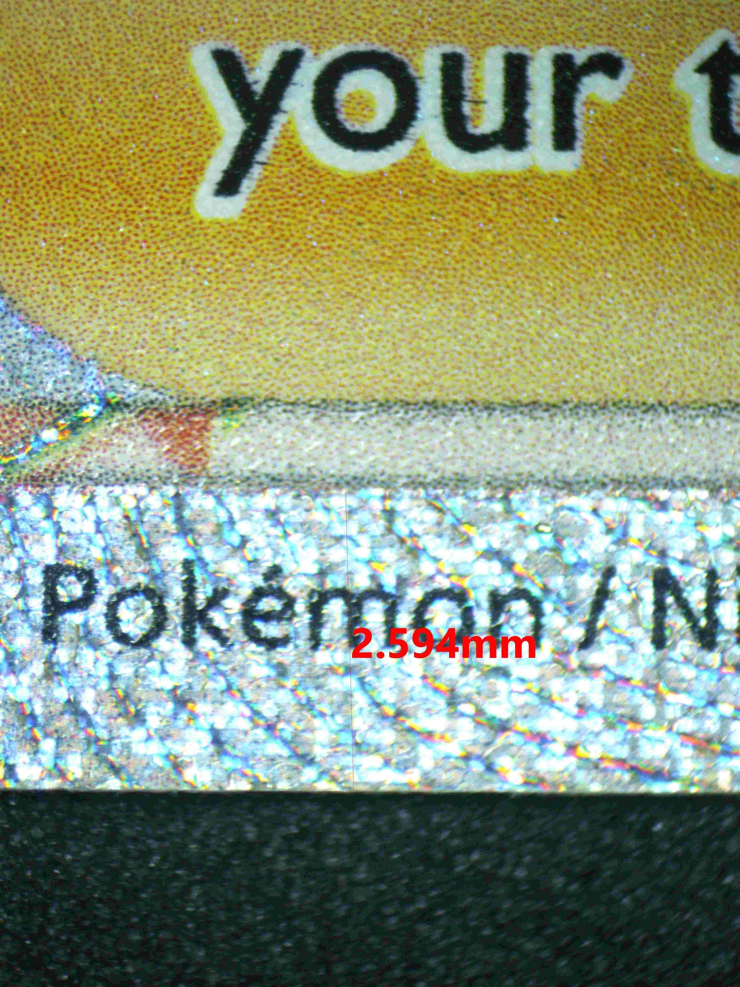 05569 GARDENIA'S VIGOR - ValueUp