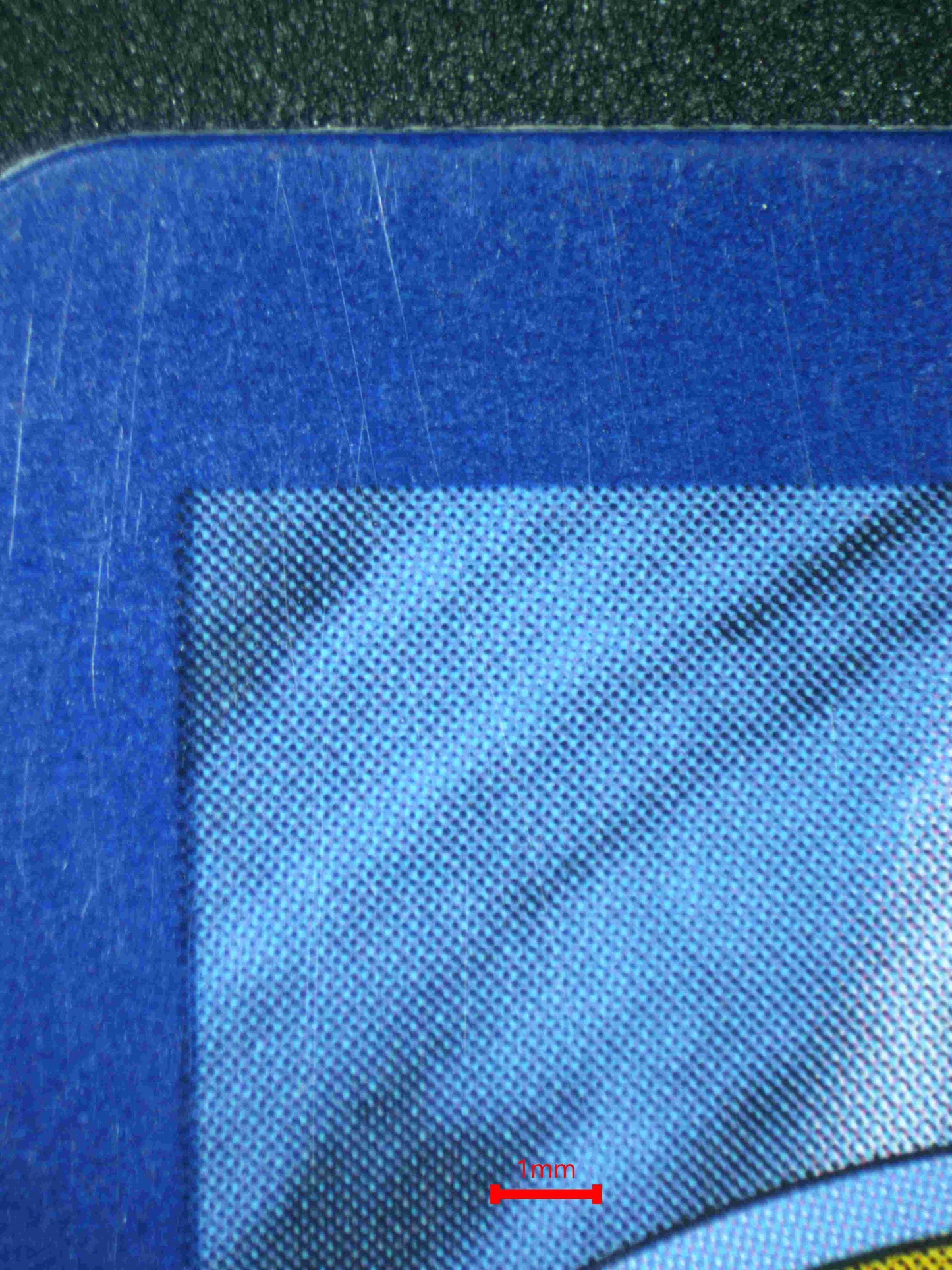 05645 ICE RIDER CALYREX VMAX - ValueUp