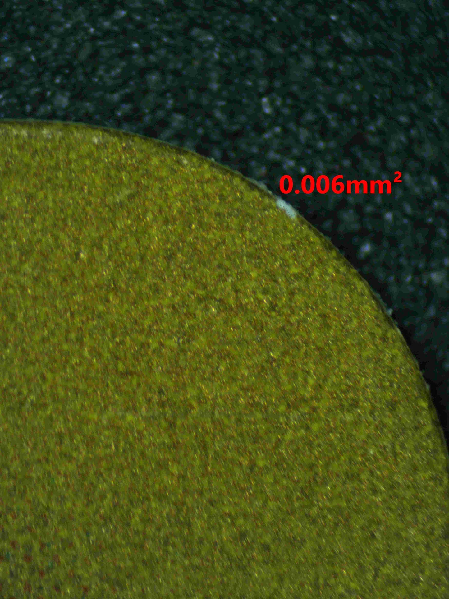 05650 CHARIZARD V (JAPANESE) - ValueUp