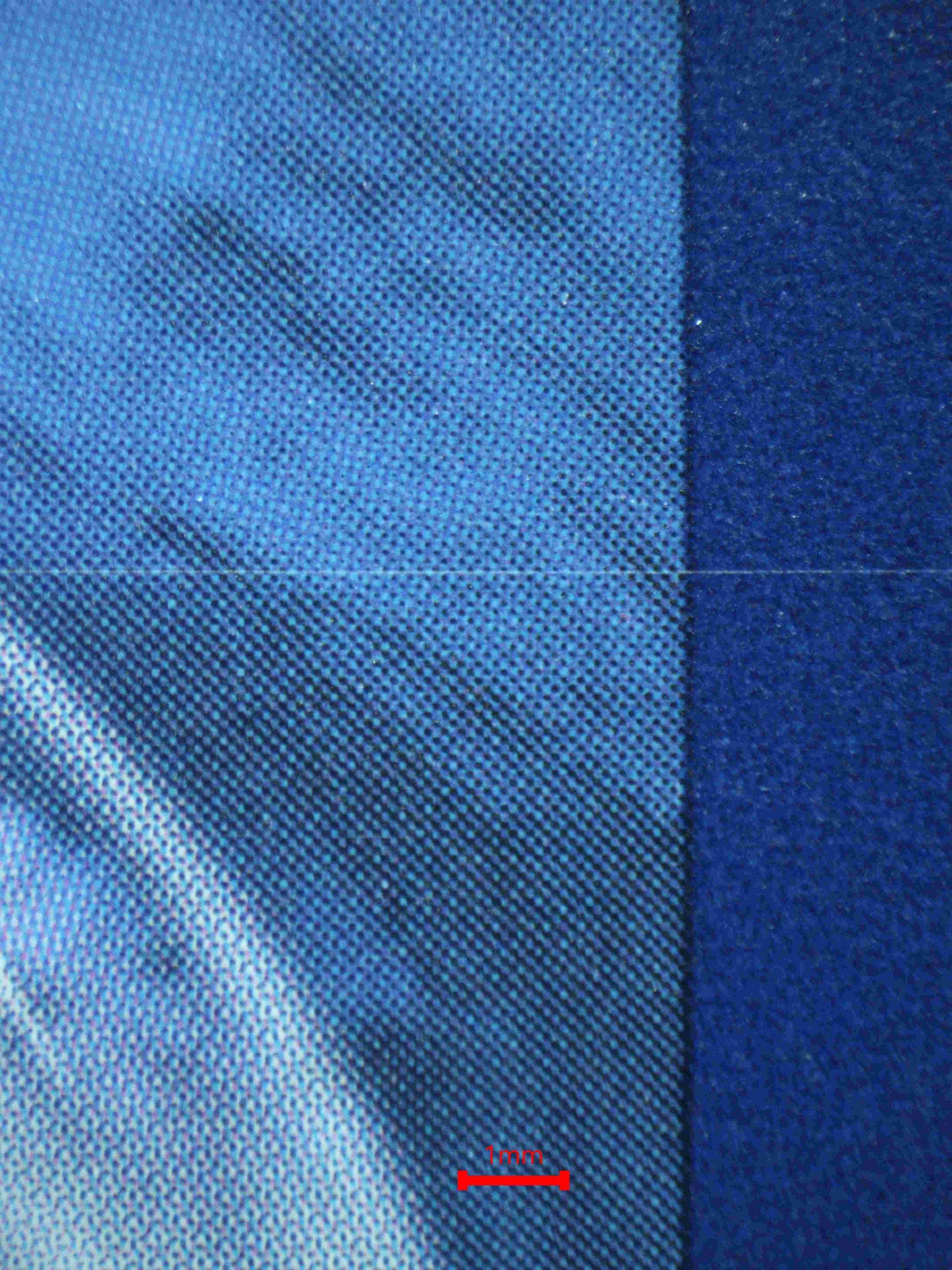 05668 SKELEDIRGE EX - ValueUp