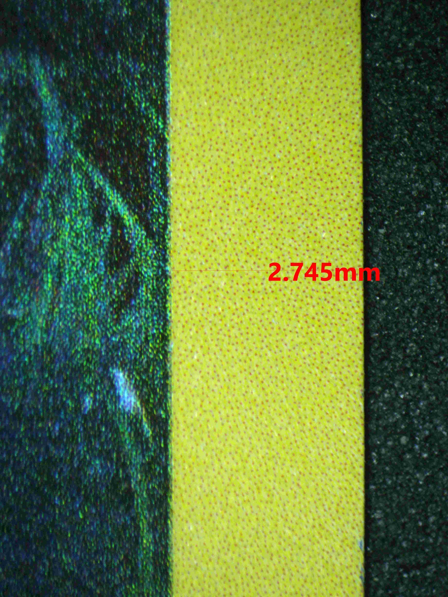 05696 TURTWIG - ValueUp