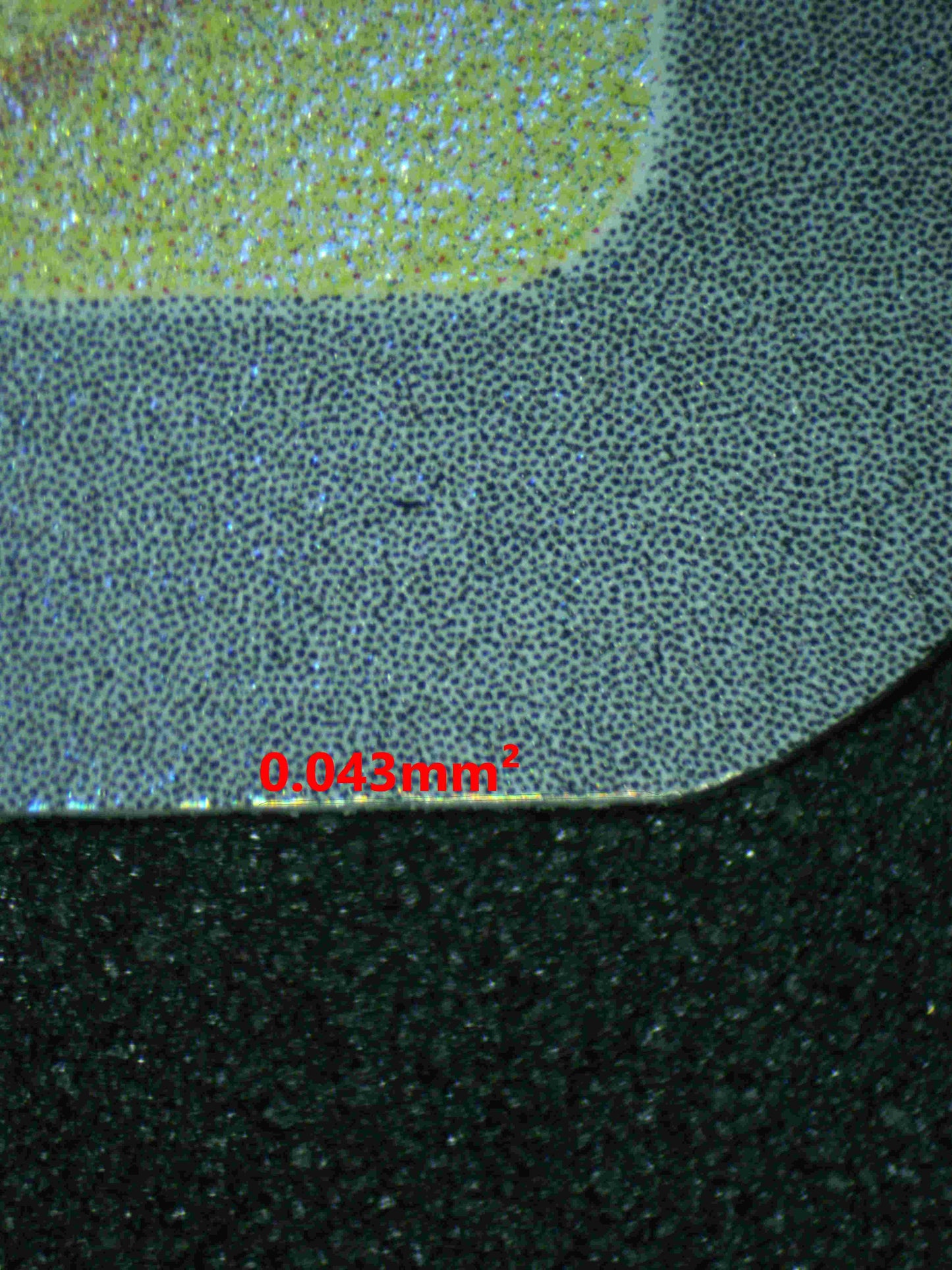 05932 BULBASAUR - ValueUp