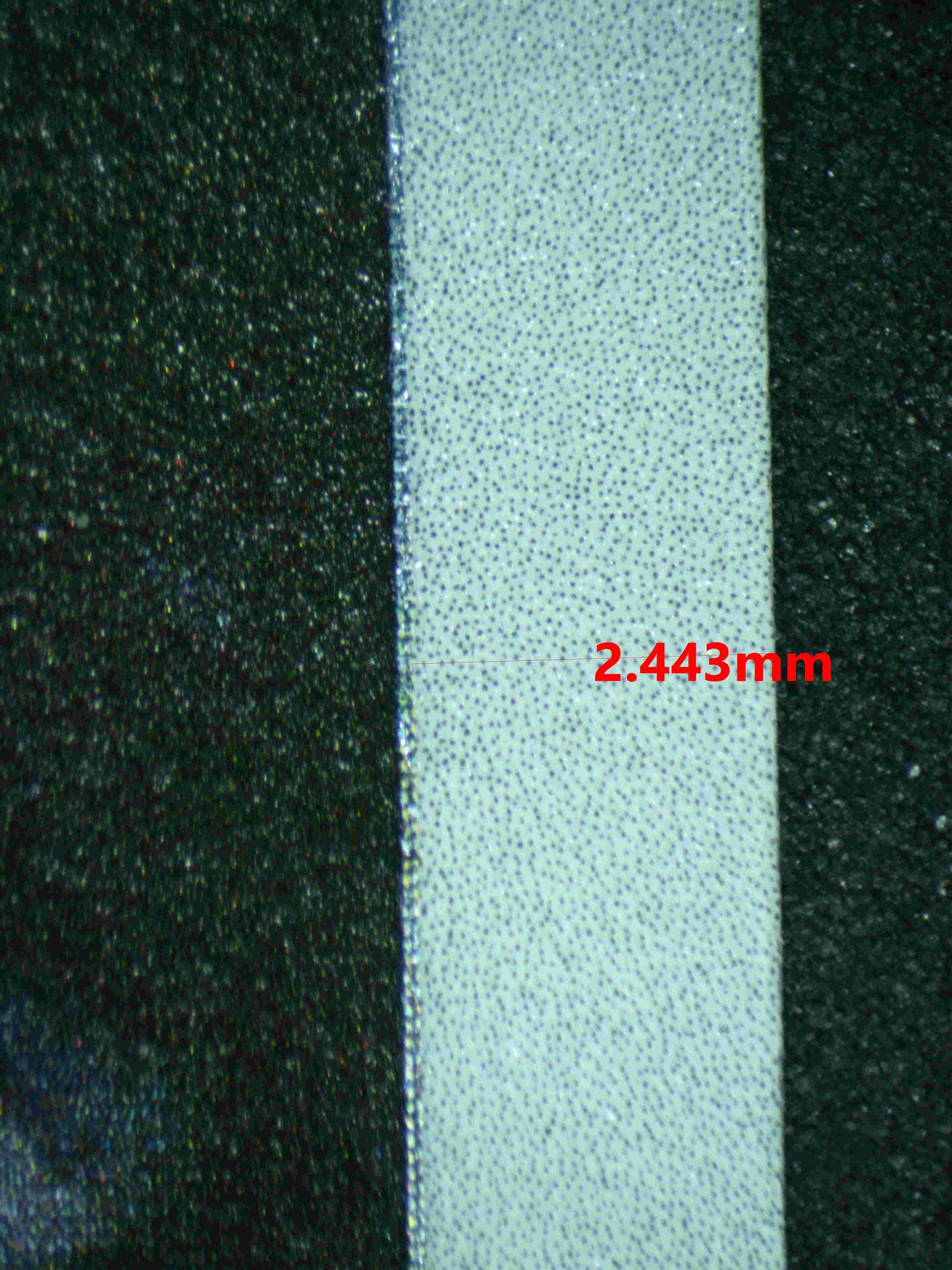 06124 SHIINOTIC (SPANISH) - ValueUp