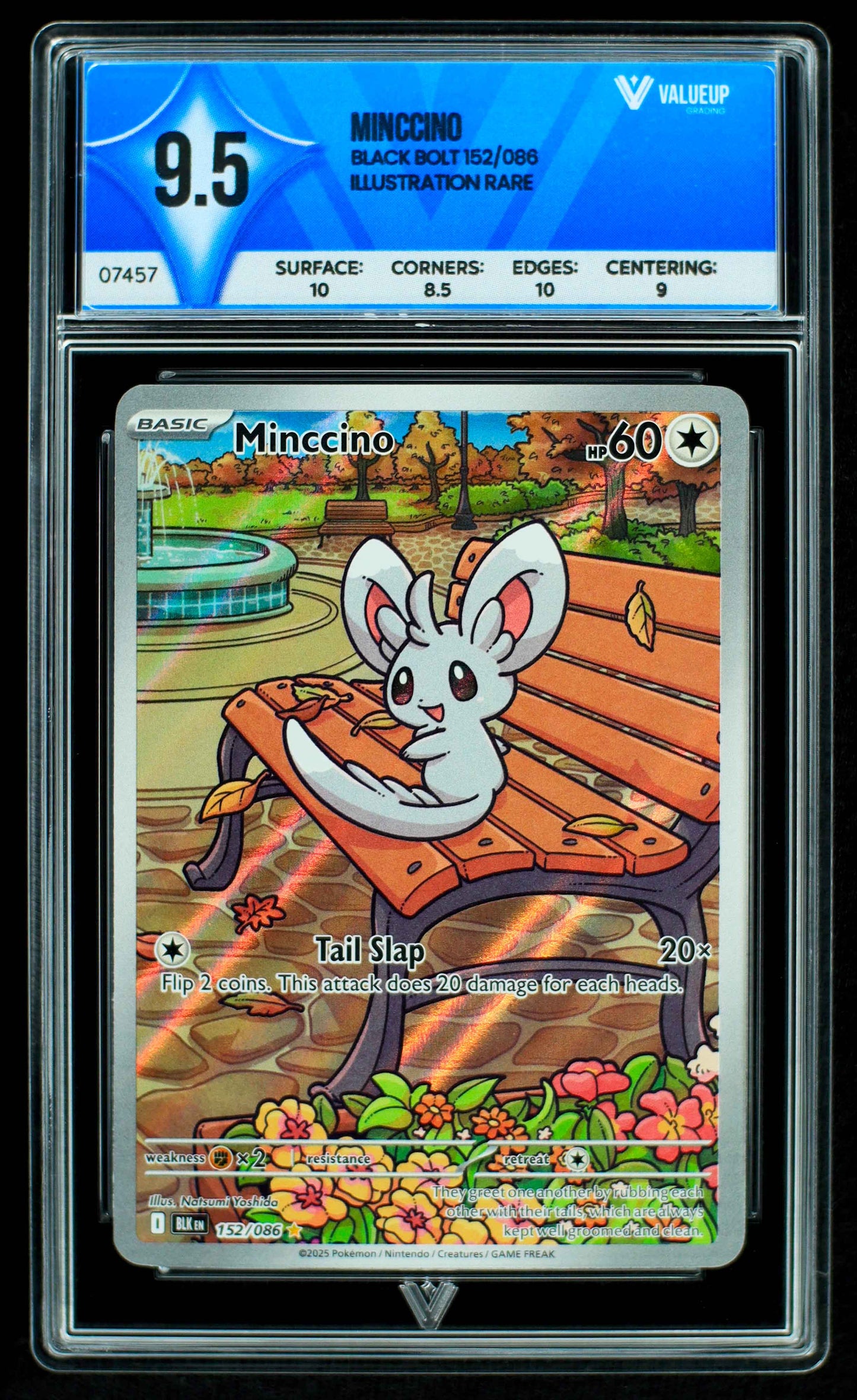 Grading Card Minccino