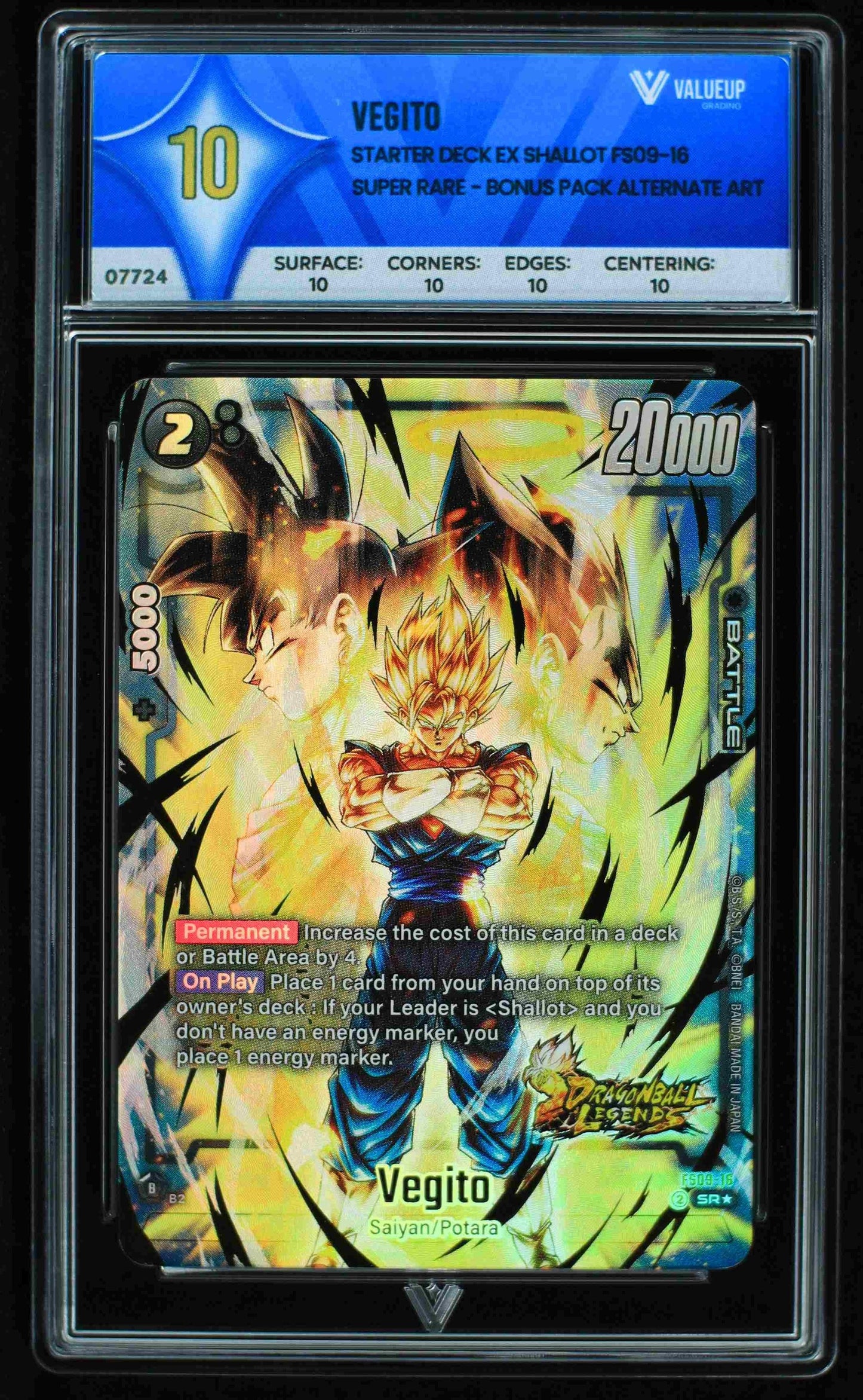 07724 VEGITO