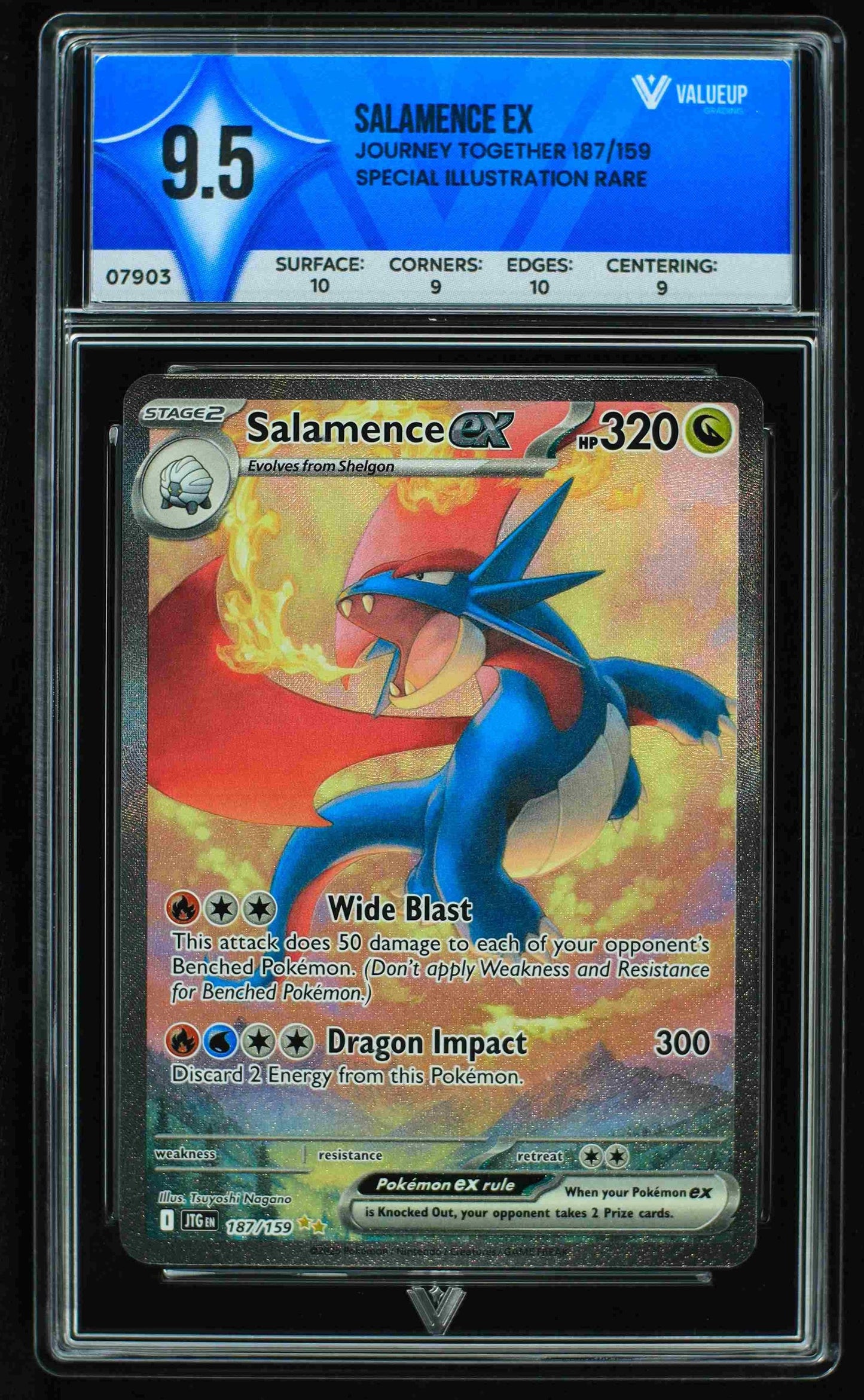 07903 SALAMENCE EX