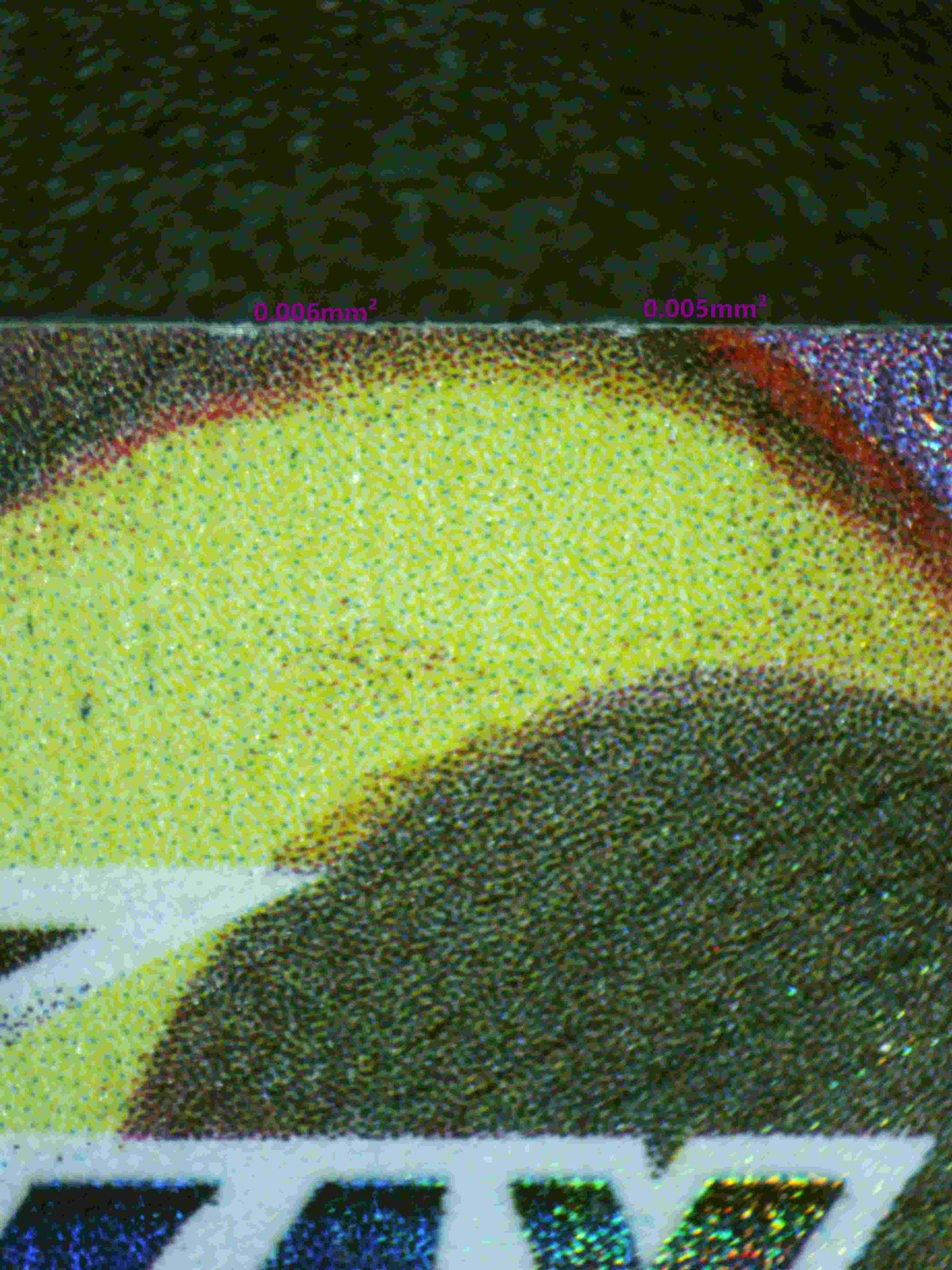 00209 UMBREON VMAX Grading Card