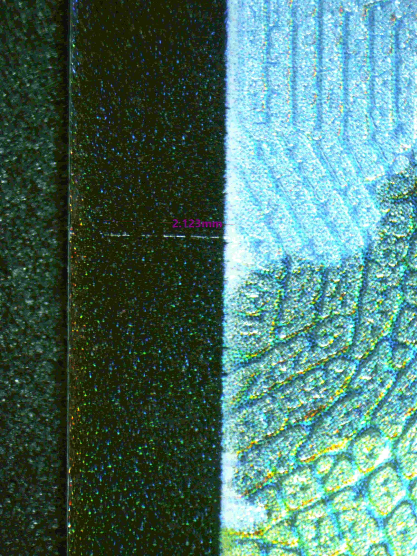 00230 KRICKETUNE V Grading Card
