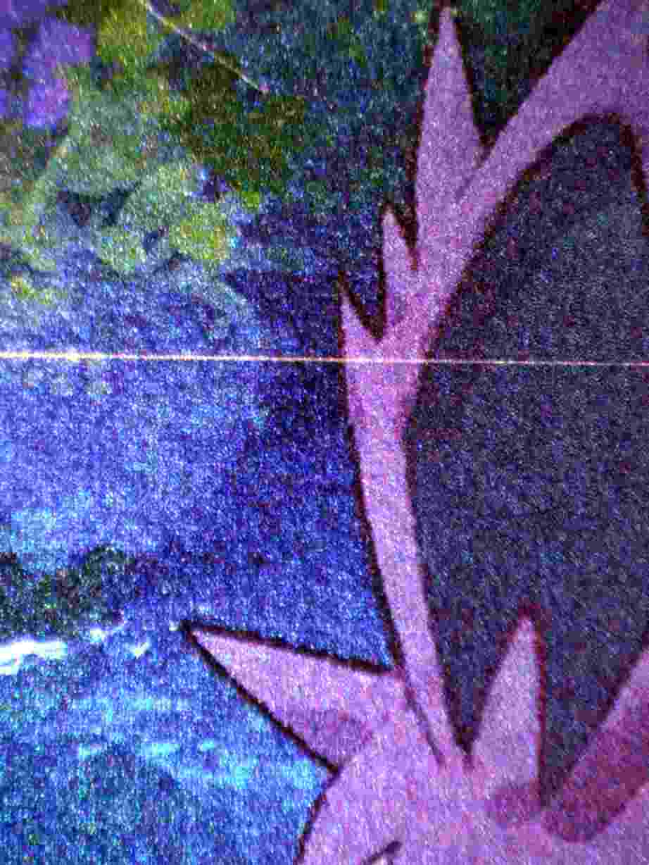 00226 MEW Grading Card