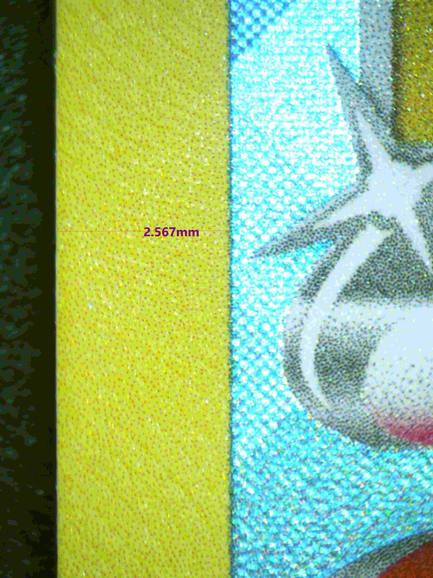 00295 RADIANT BLASTOISE Grading Card