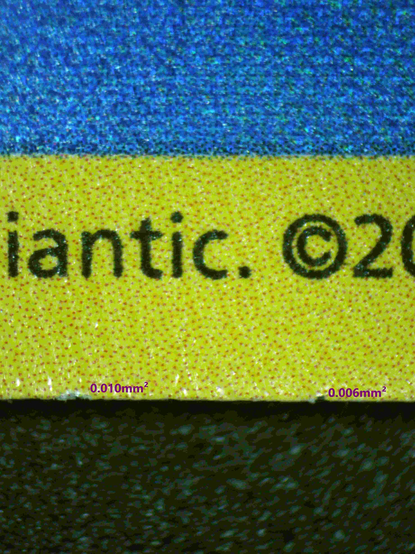 00295 RADIANT BLASTOISE Grading Card