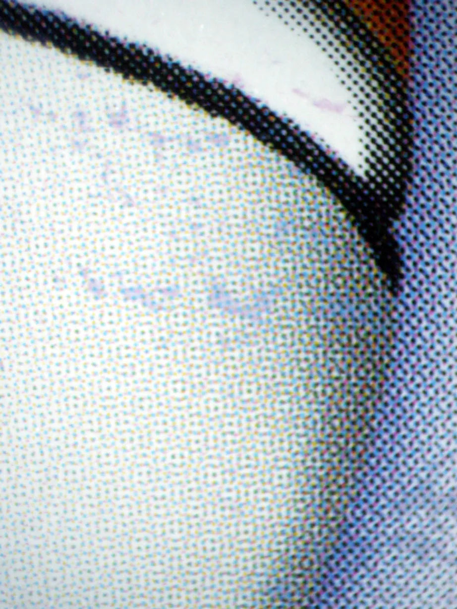 01200 PALAFIN Grading Card