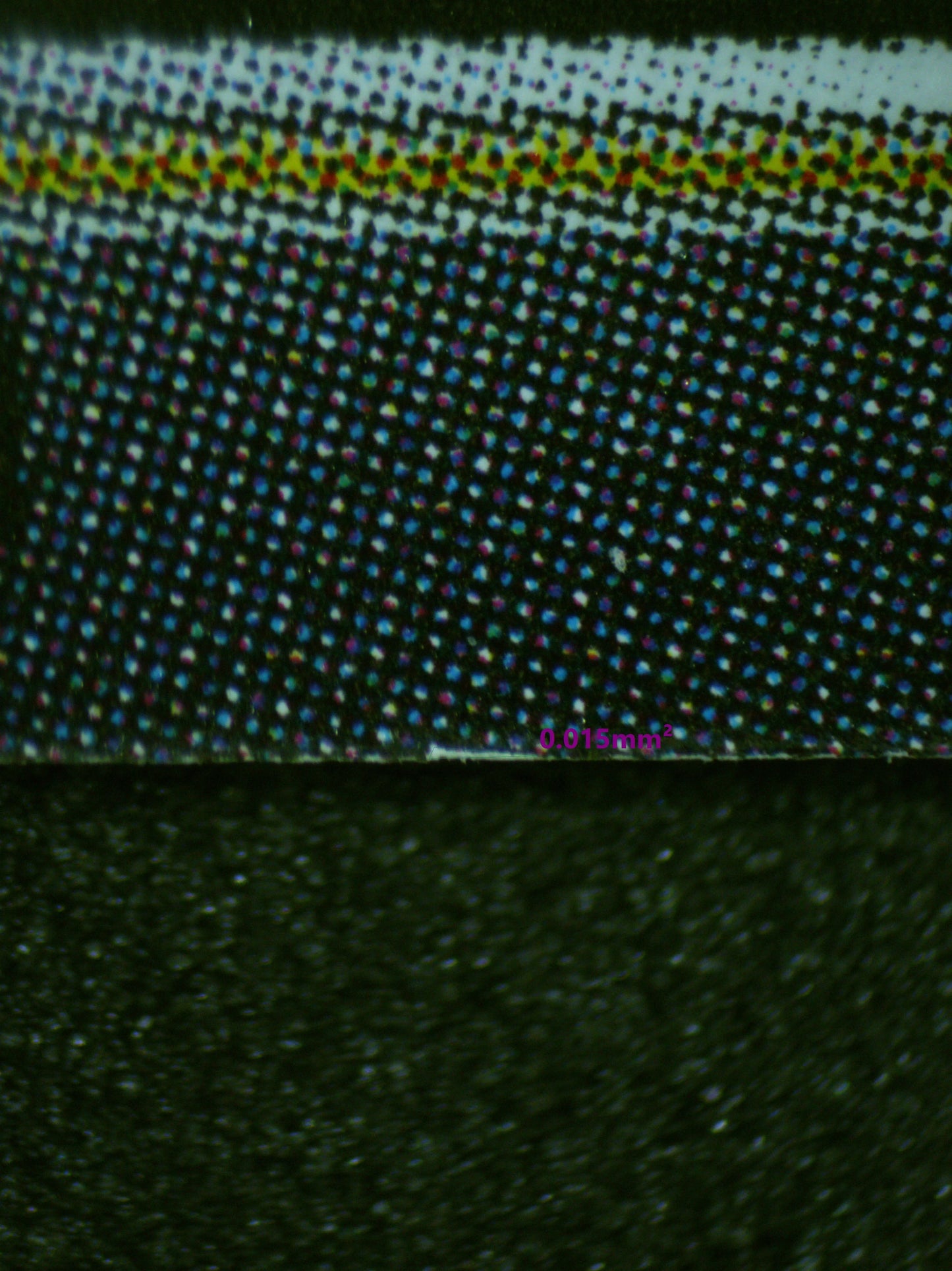 01046 BELLE & BEAST Grading Card