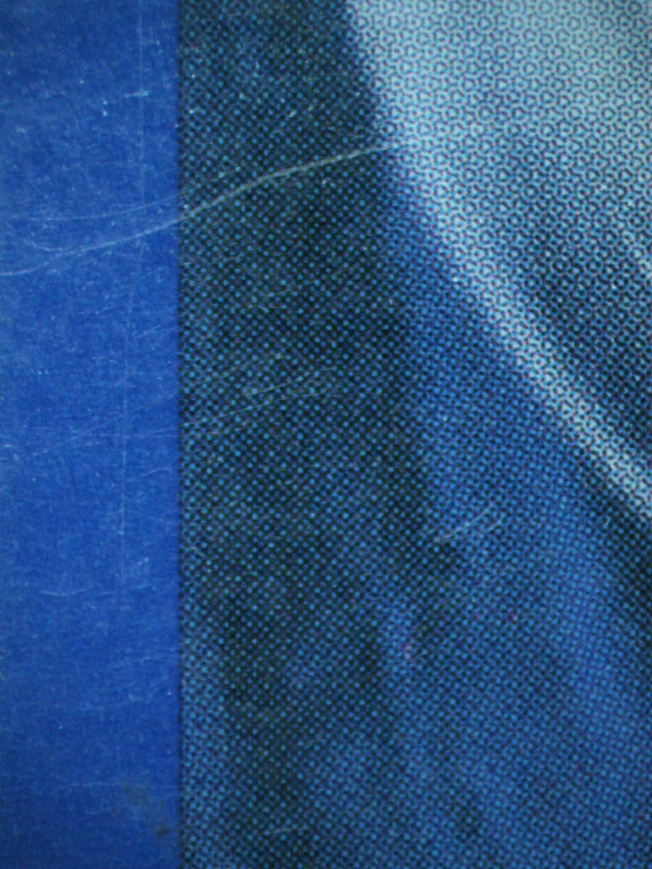 00405 SUICUNE Grading Card