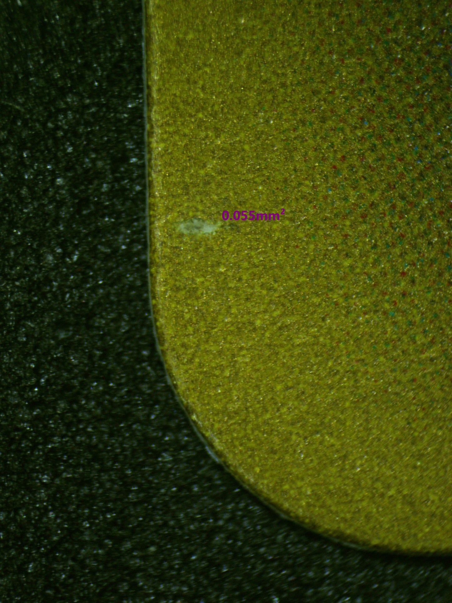 00422 SQUIRTLE (JAPANESE) Grading Card