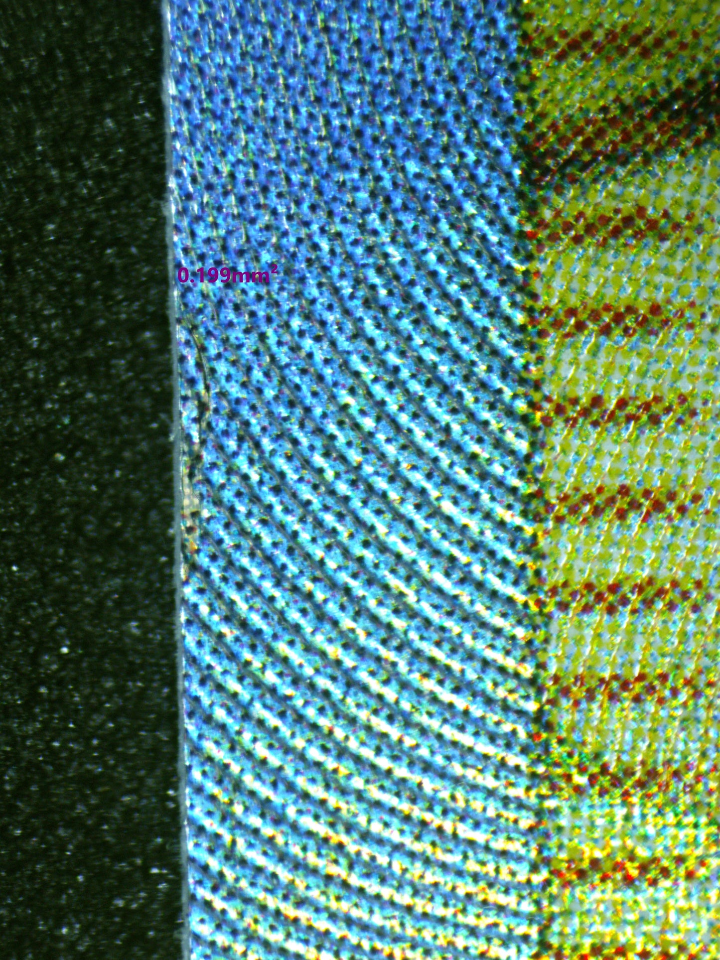 01049 ZISU (JAPANESE) Grading Card