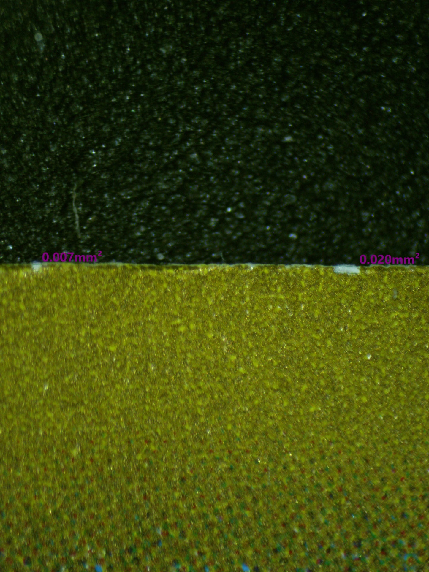 00442 PIDGEOTTO (JAPANESE) Grading Card