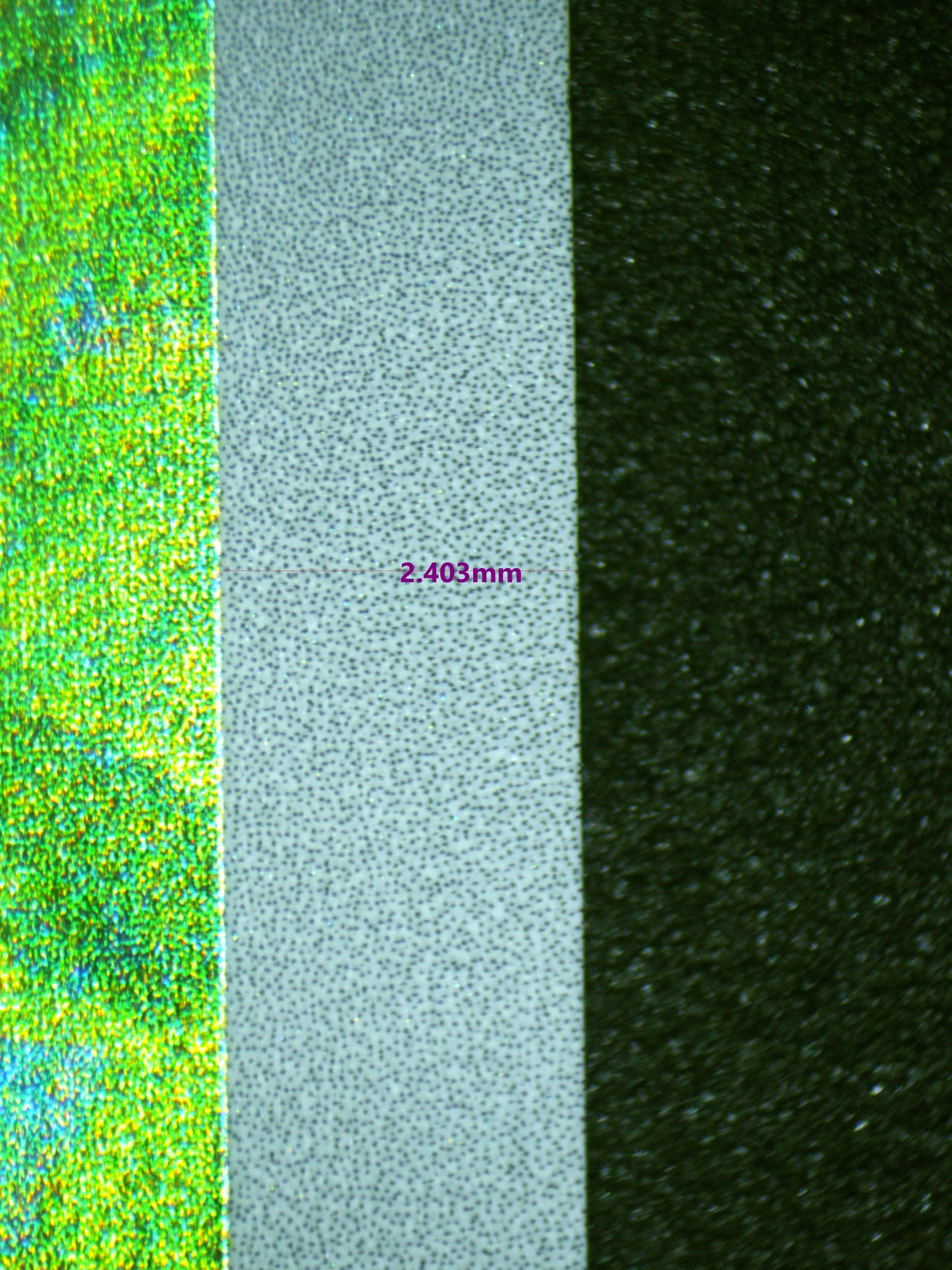 00459 BULBASAUR Grading Card