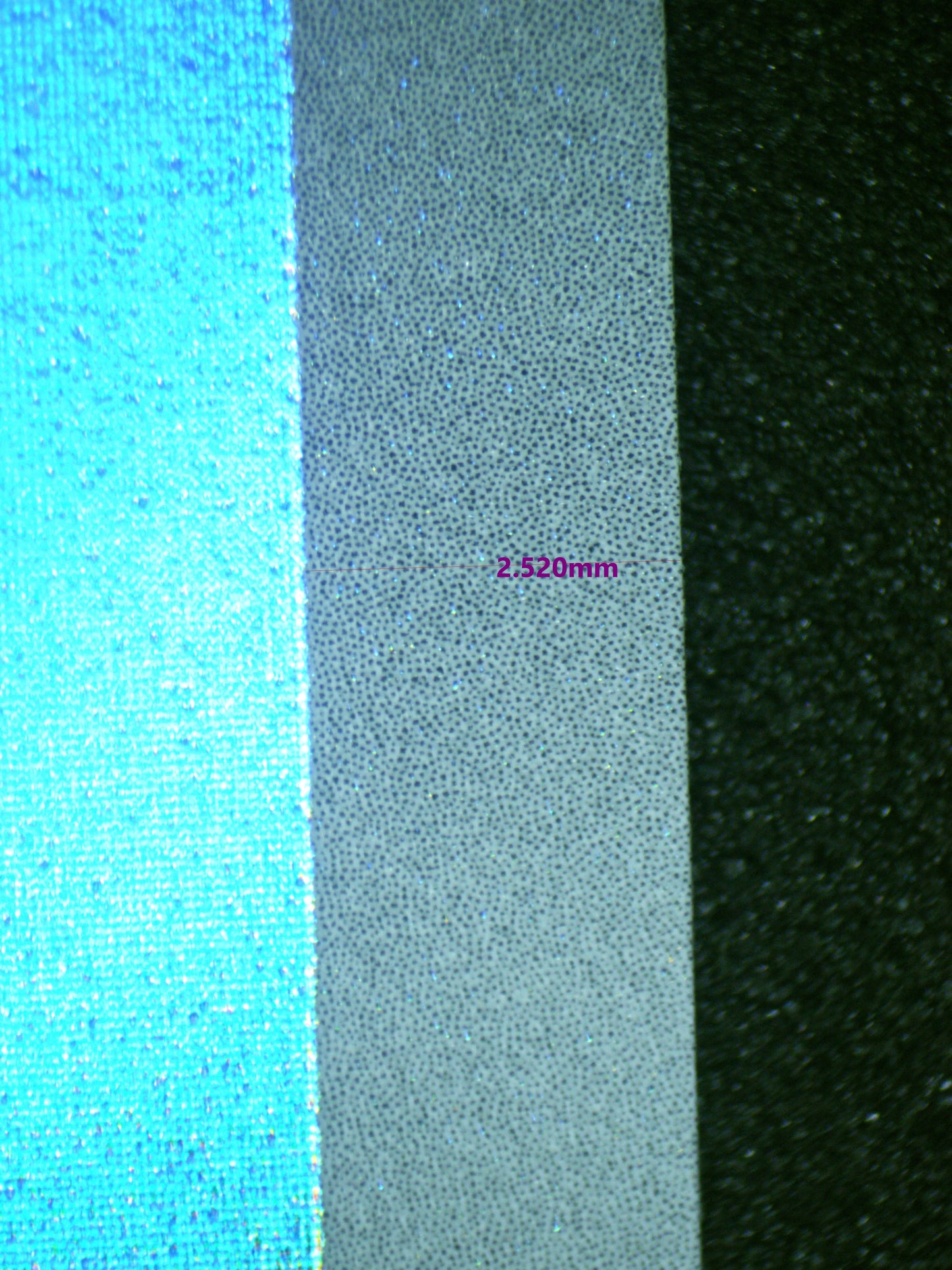 00466 WARTORTLE Grading Card