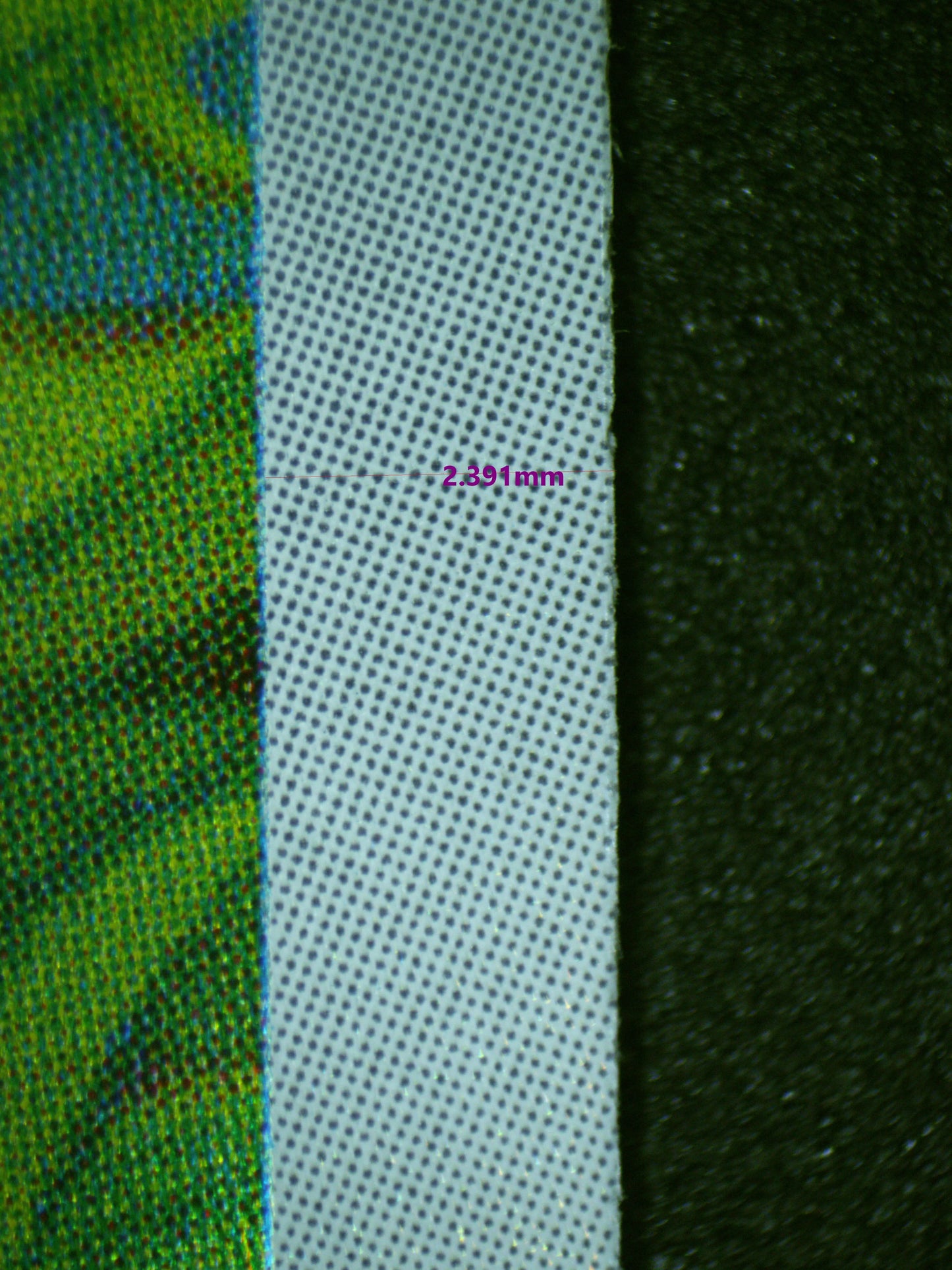 00482 BULBASAUR (JAPANESE) Grading Card