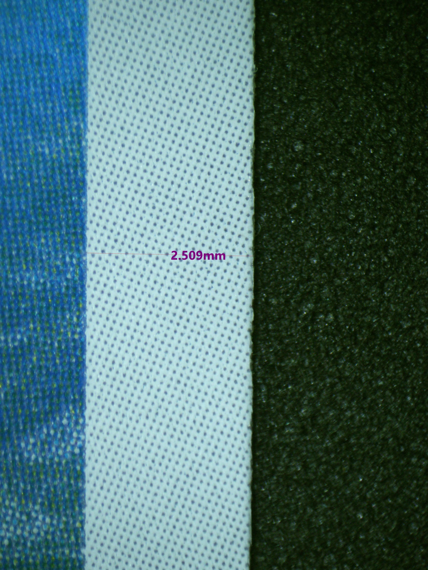 00486 SQUIRTLE (JAPANESE) Grading Card