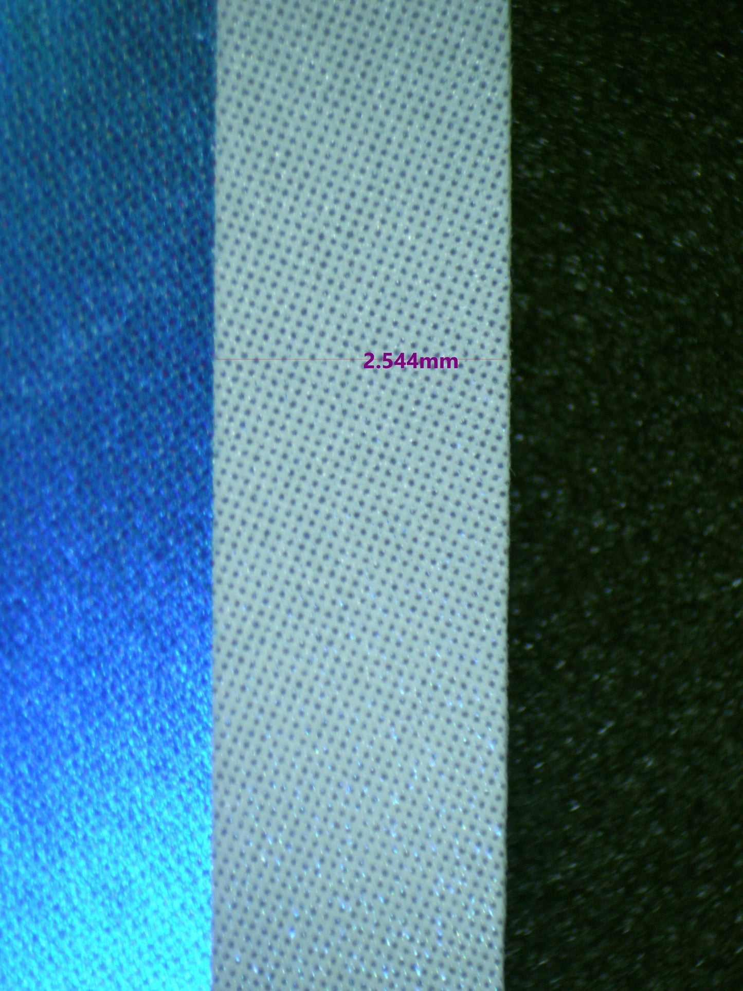 00487 WARTORTLE (JAPANESE) Grading Card