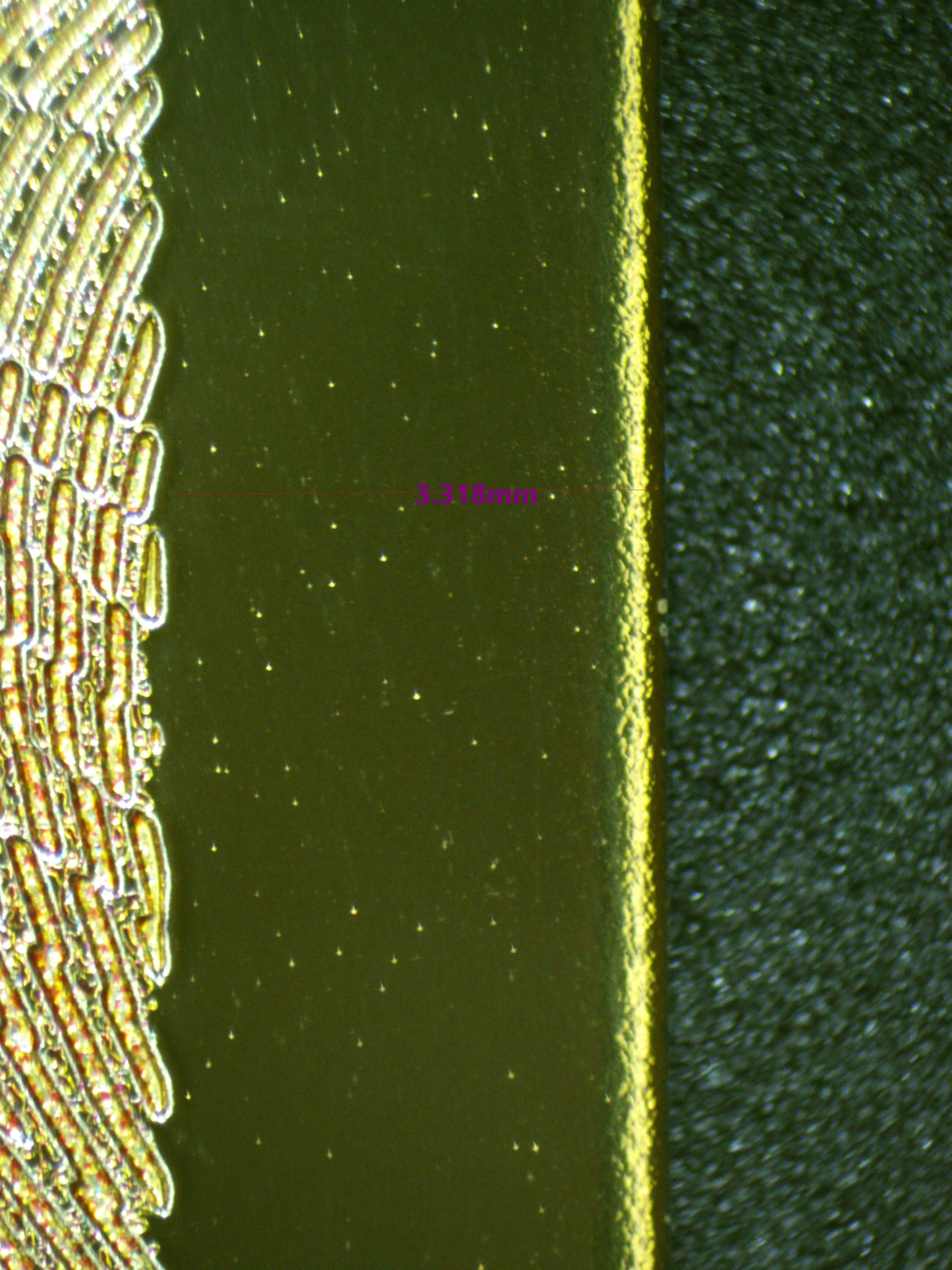 00516 CHARIZARD Grading Card