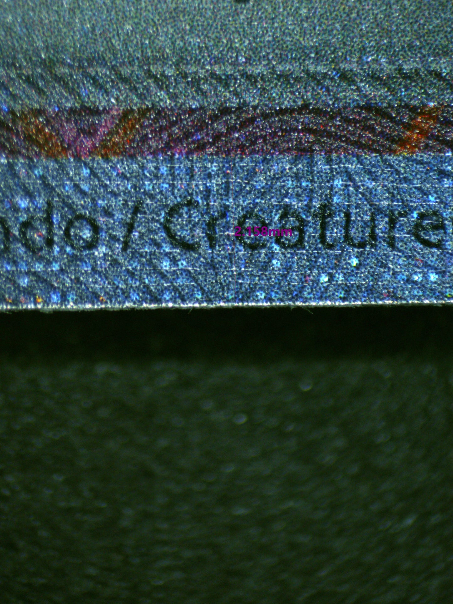 00831 CHARIZARD EX Grading Card