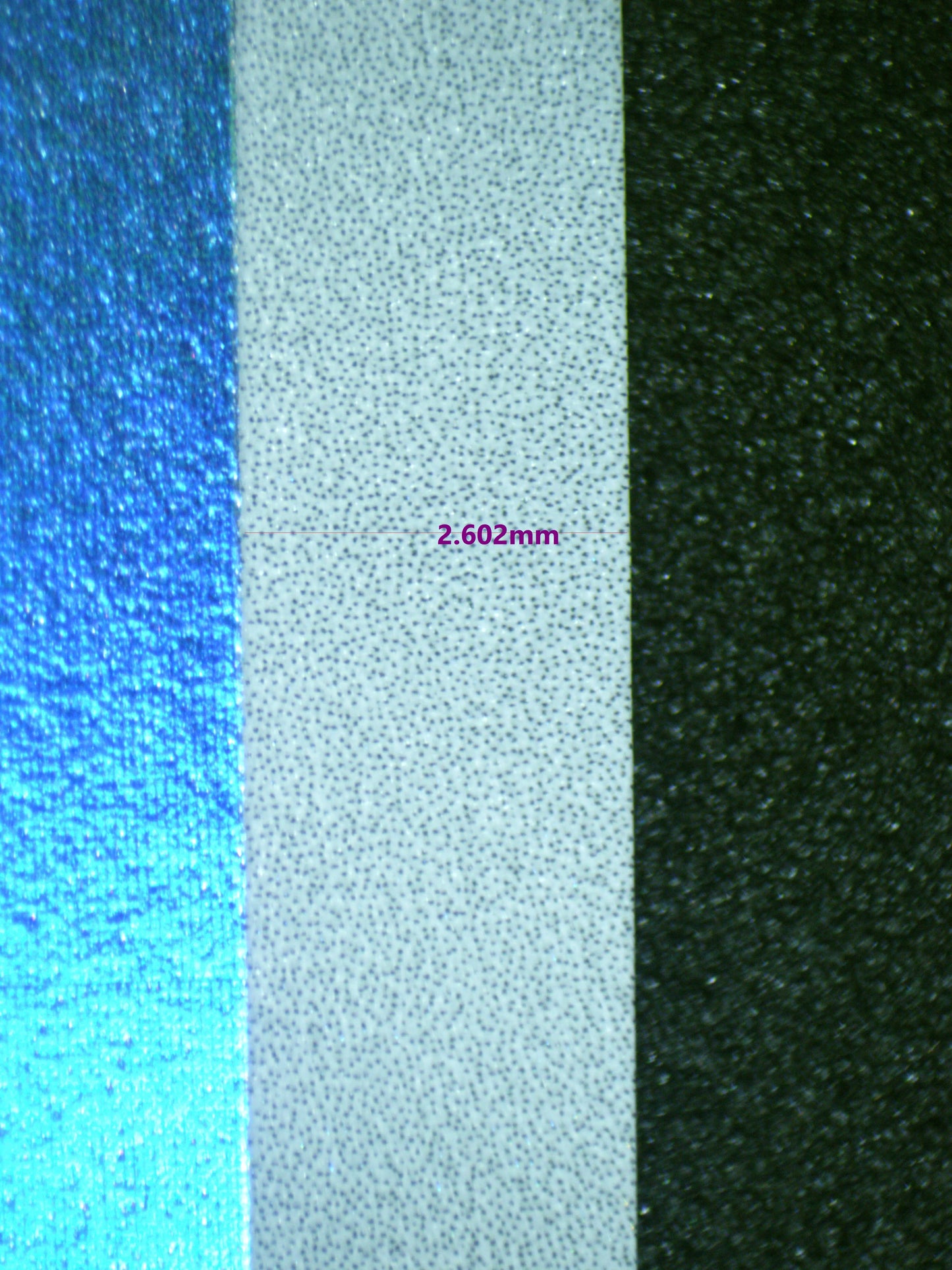 00877 WARTORTLE Grading Card