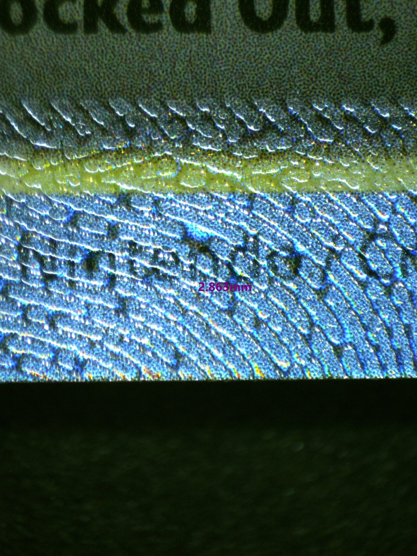 00879 NINETALES EX Grading Card