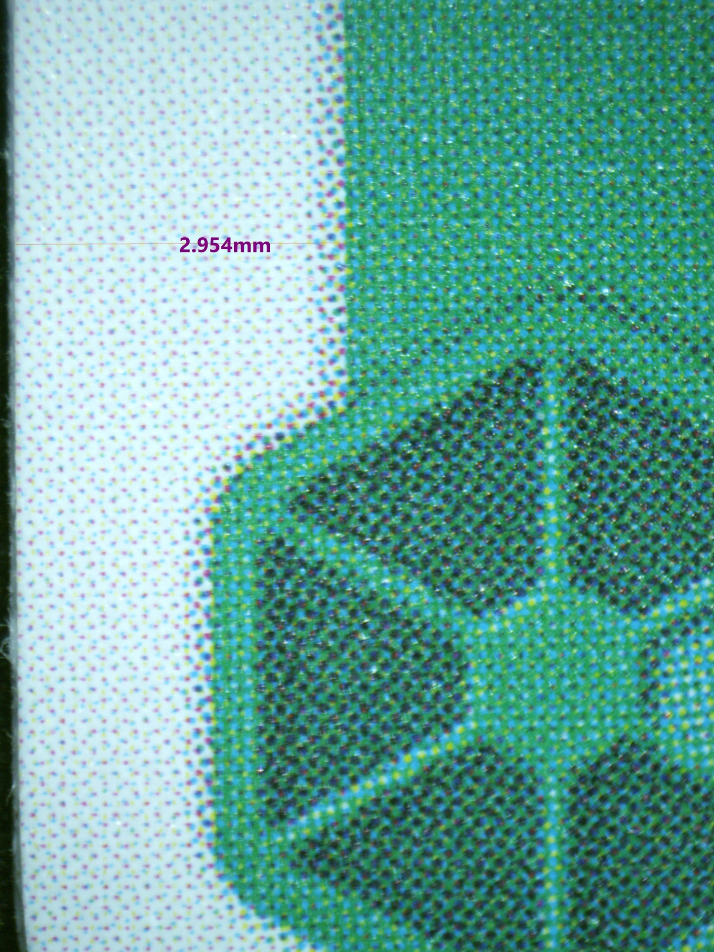 00556 BABY 5 Grading Card