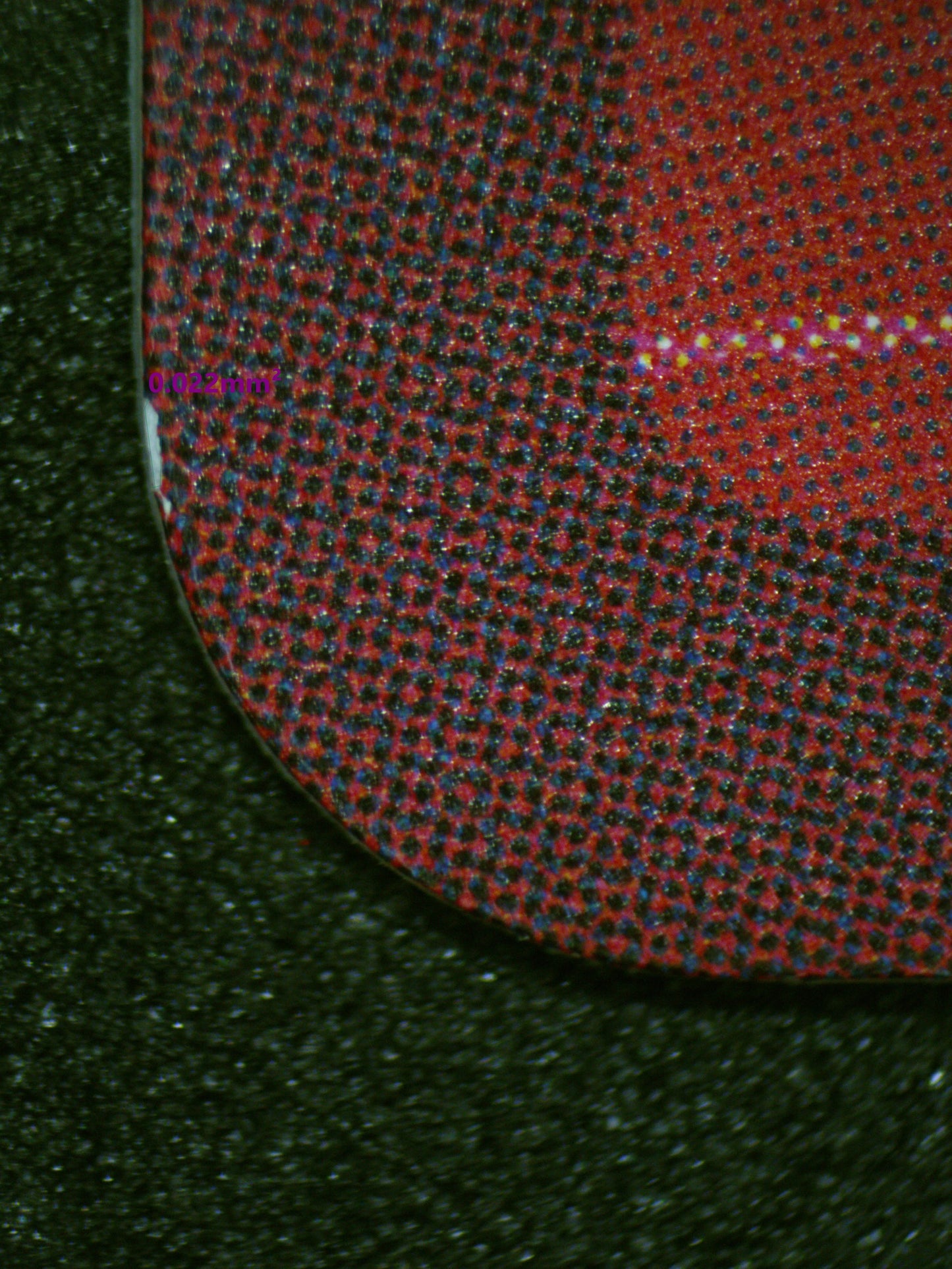 00564 REBECCA Grading Card