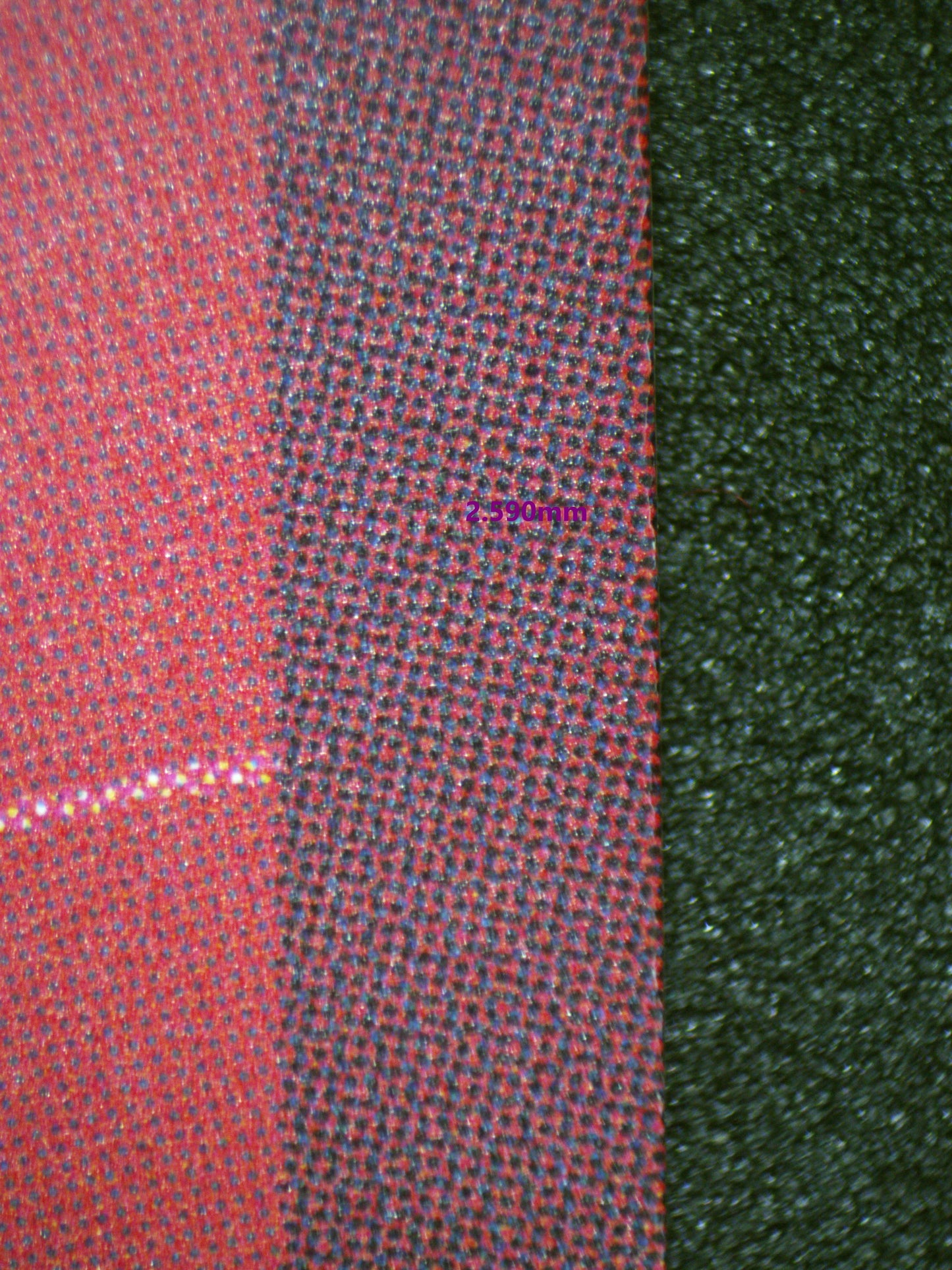 00587 CROCODILE Grading Card