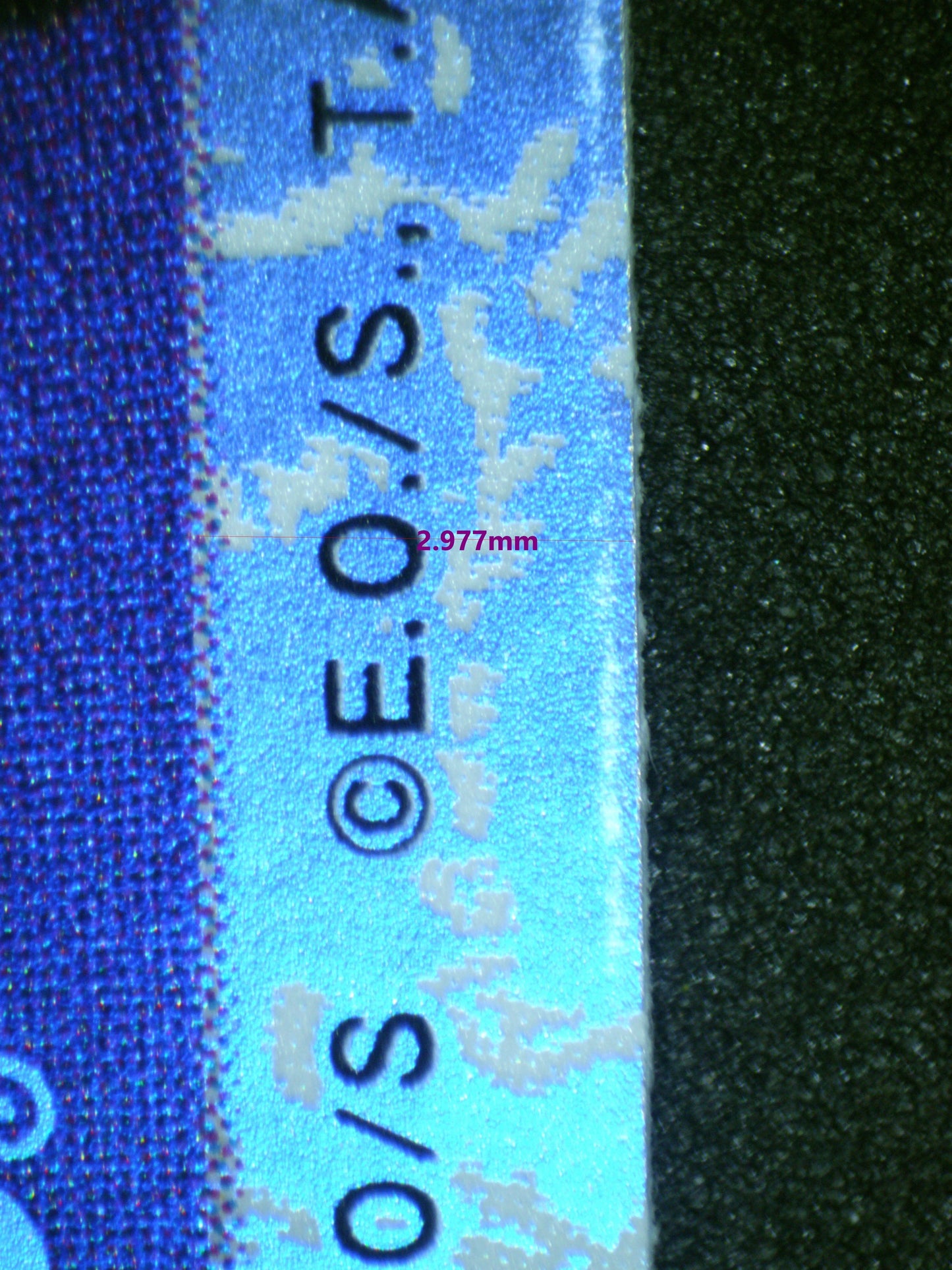 00589 CROCODILE Grading Card