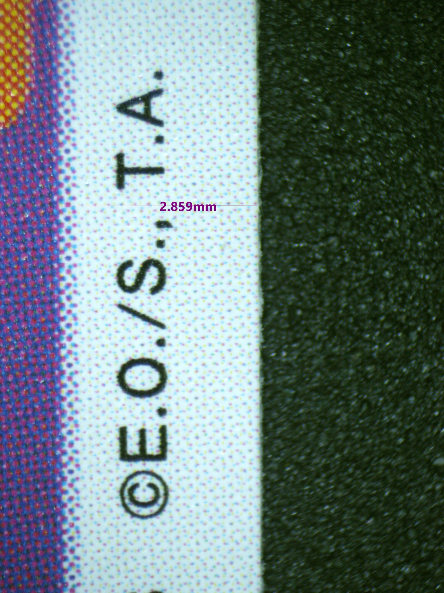 00605 MR. 13 & MS. FRIDAY Grading Card