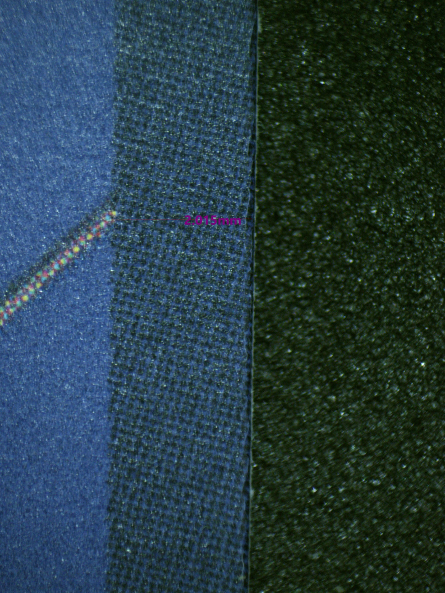 00646 CHARLOTTE MOSCATO Grading Card